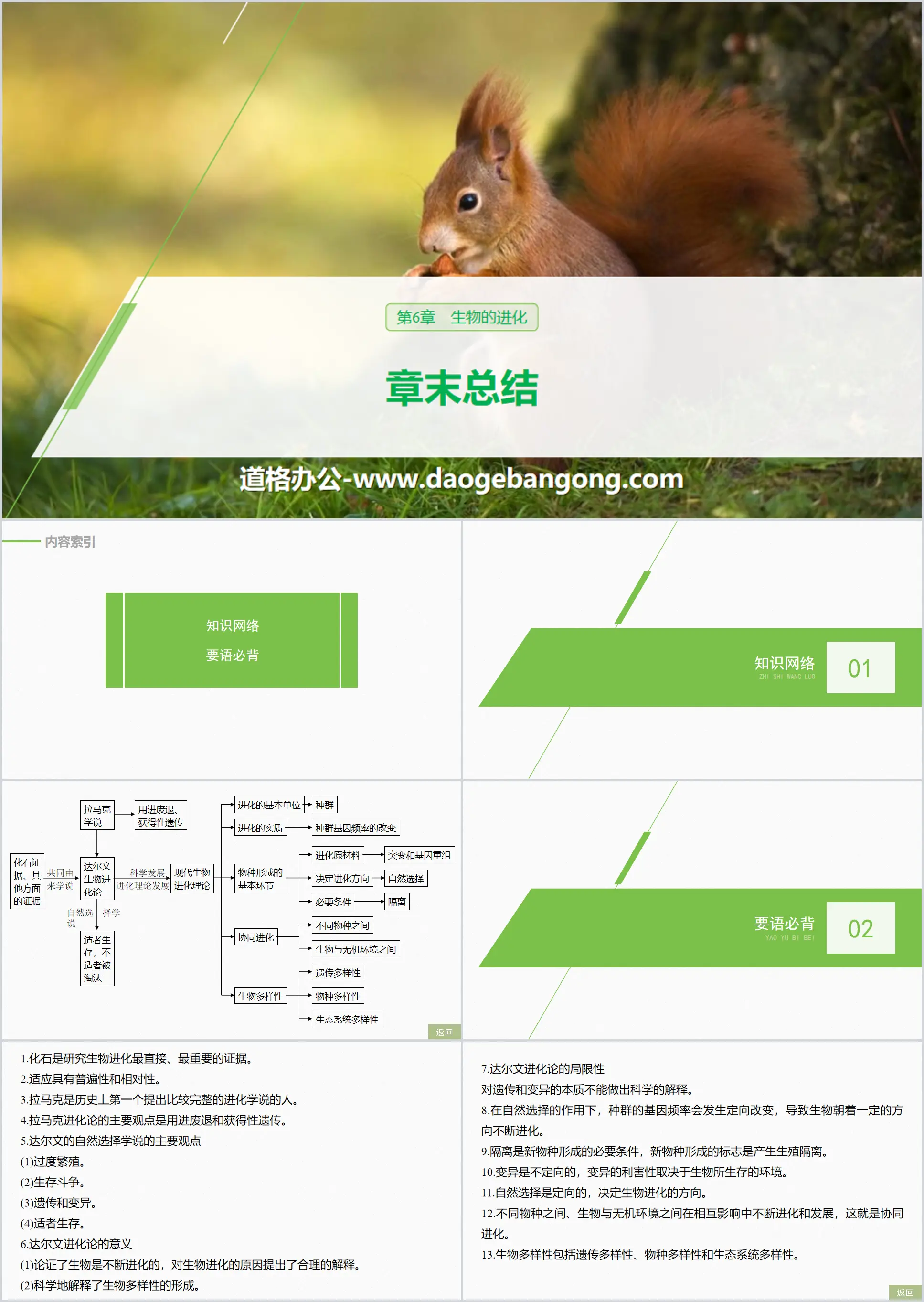 《章末總結》生物的進化PPT