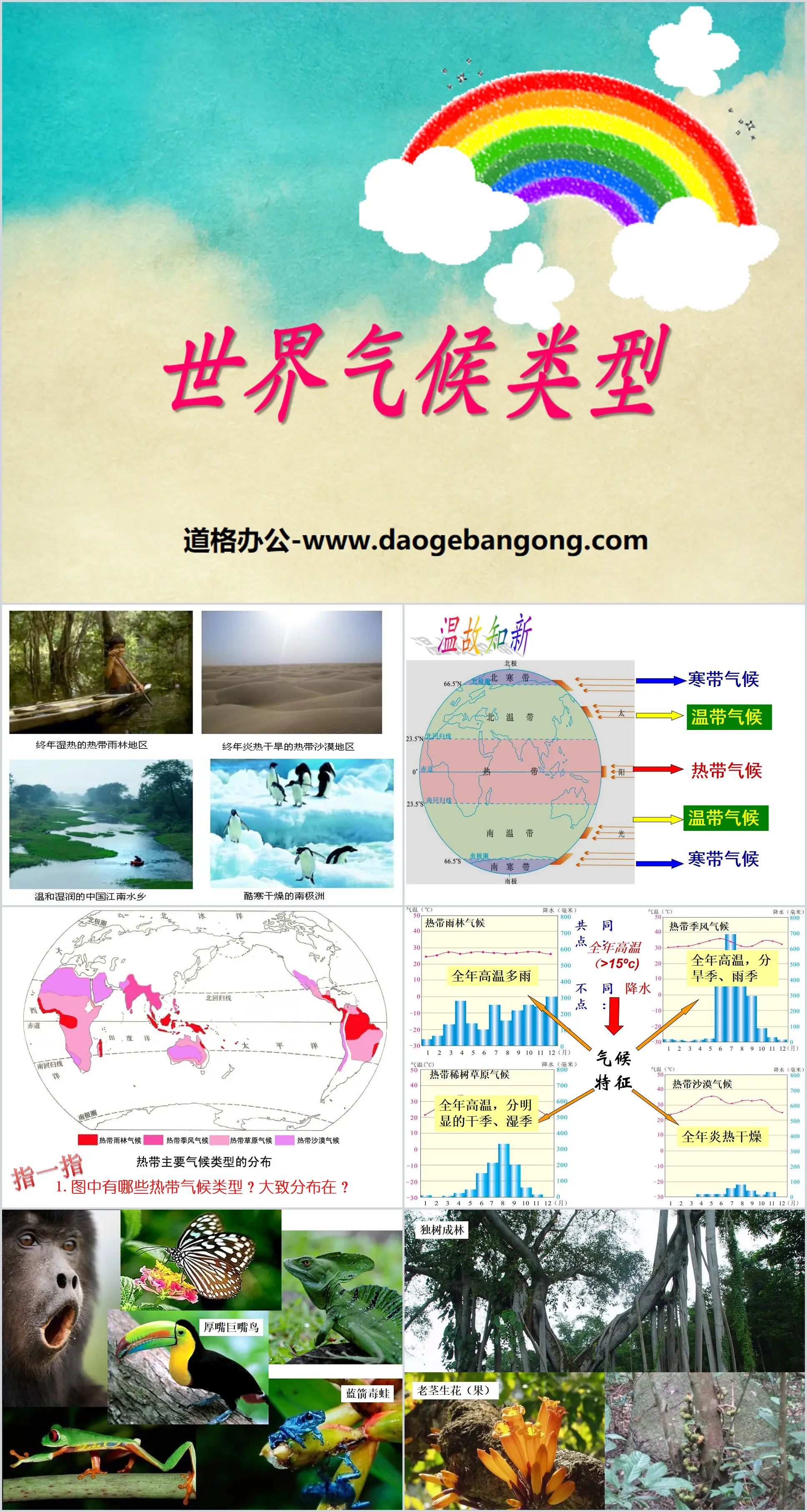 《世界气候类型》PPT
