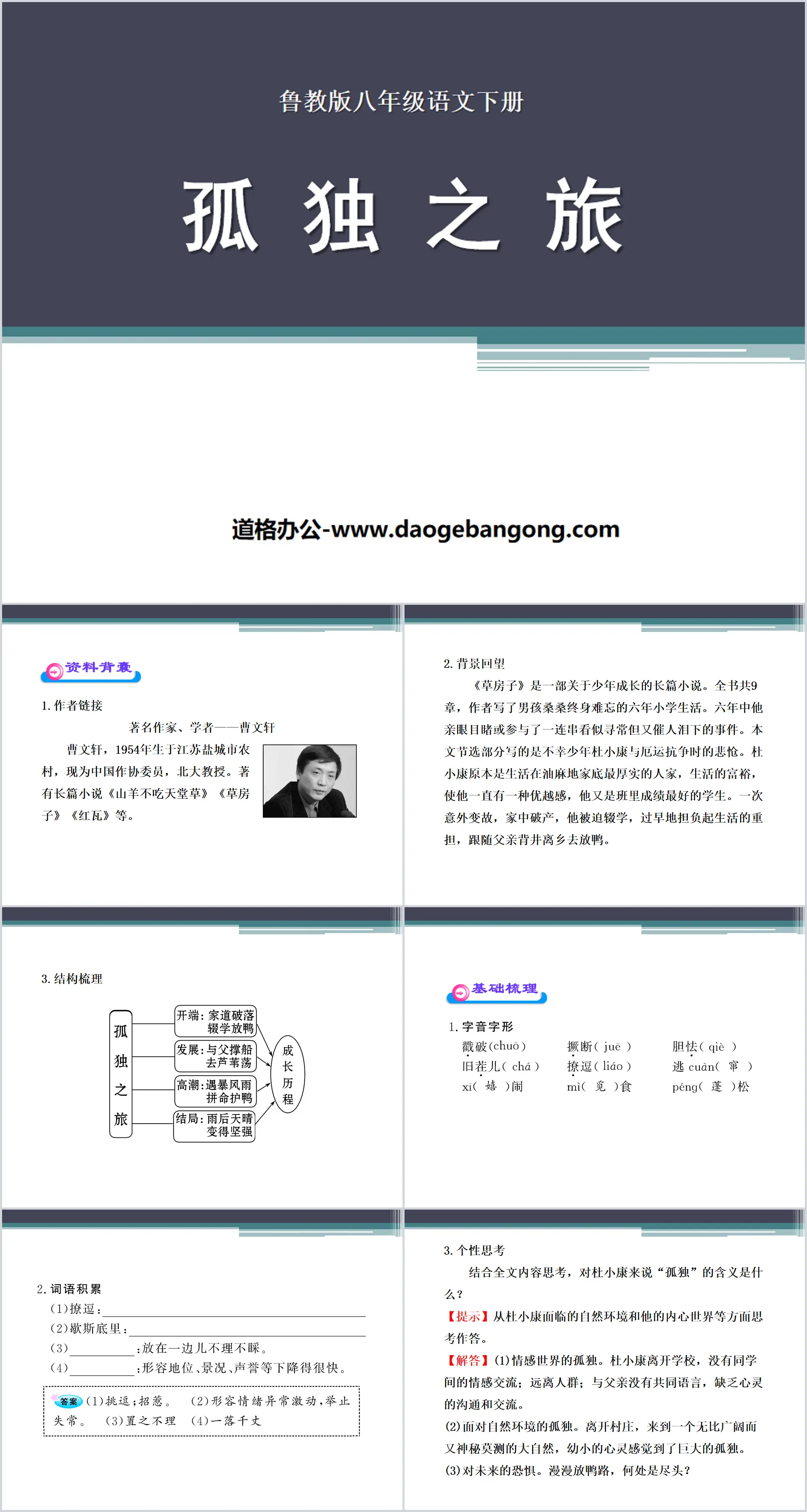 "Journey of Loneliness" PPT courseware 8