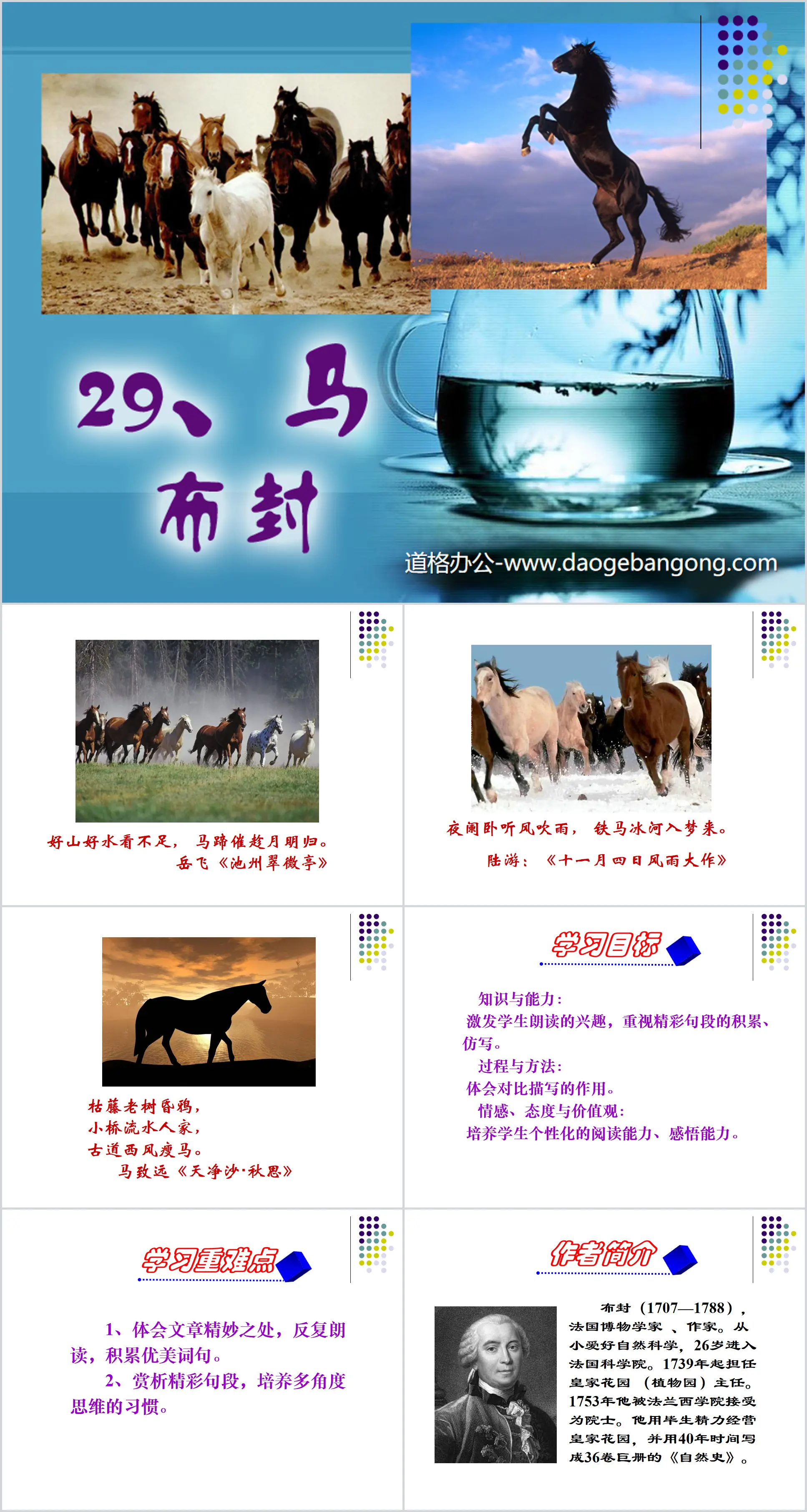 Cours PPT « Cheval » 5