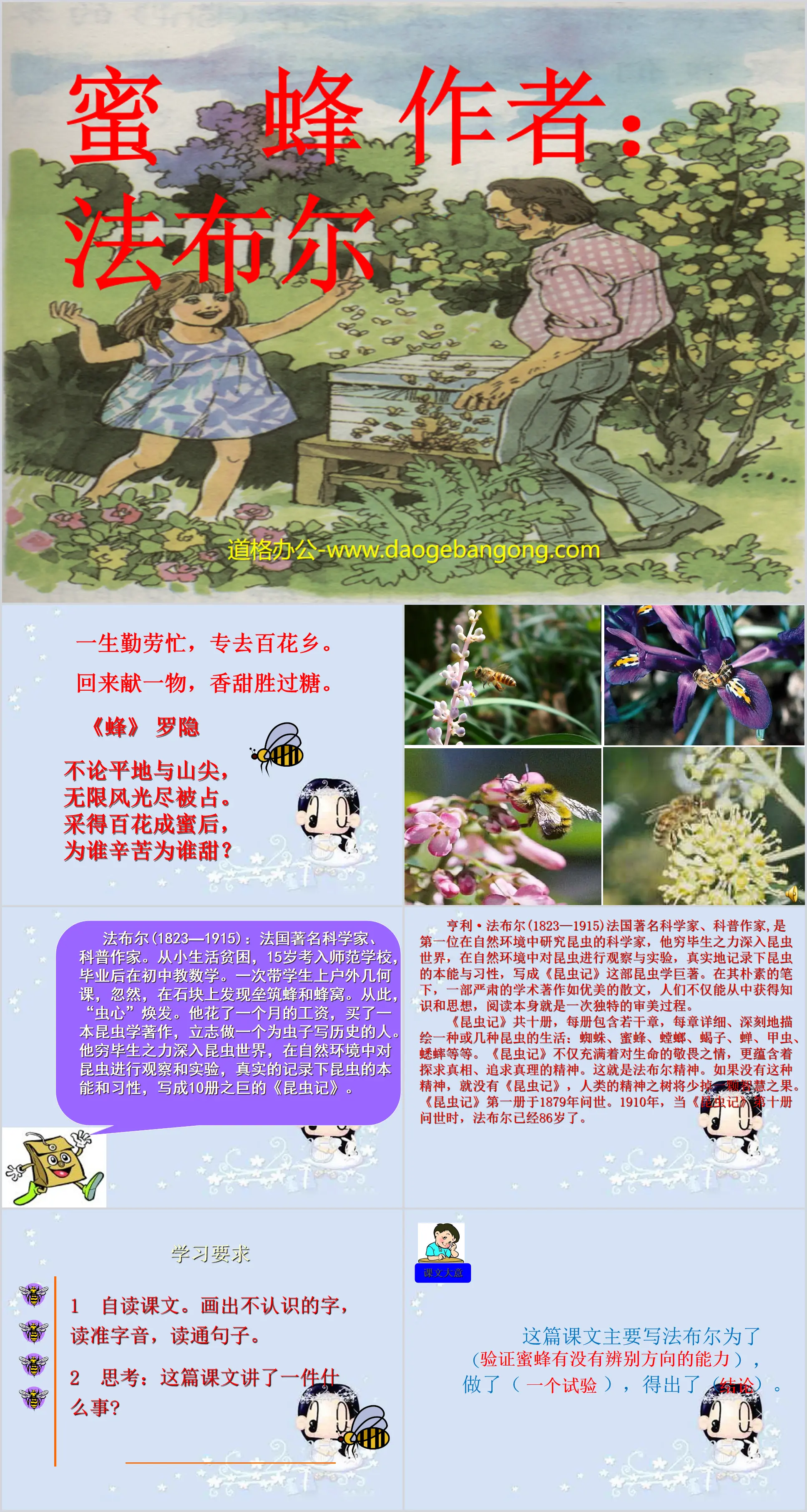 《蜜蜂》PPT教学课件下载4
