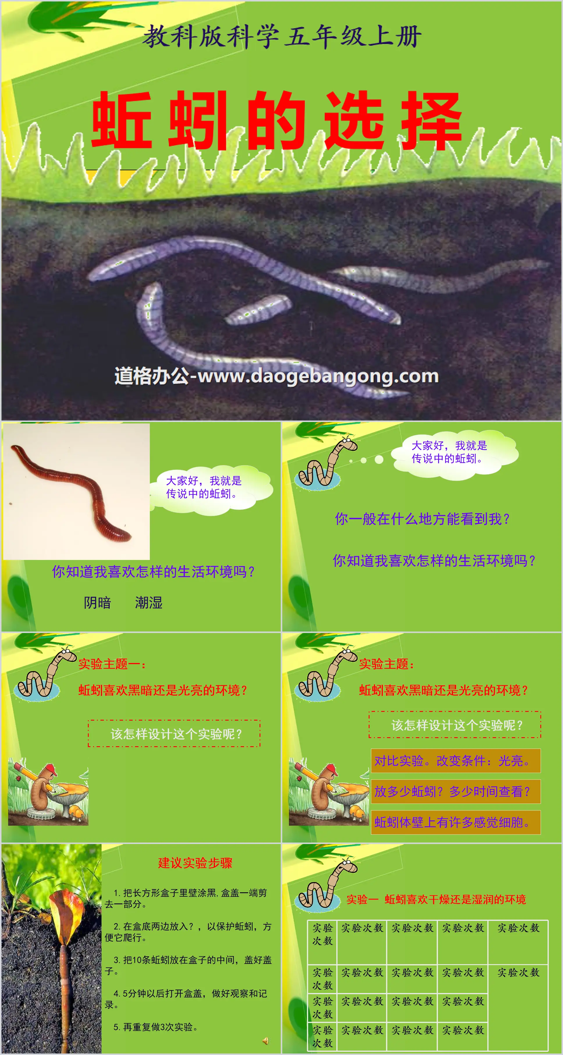 "The Choice of Earthworms" Biology and Environment PPT Courseware 2