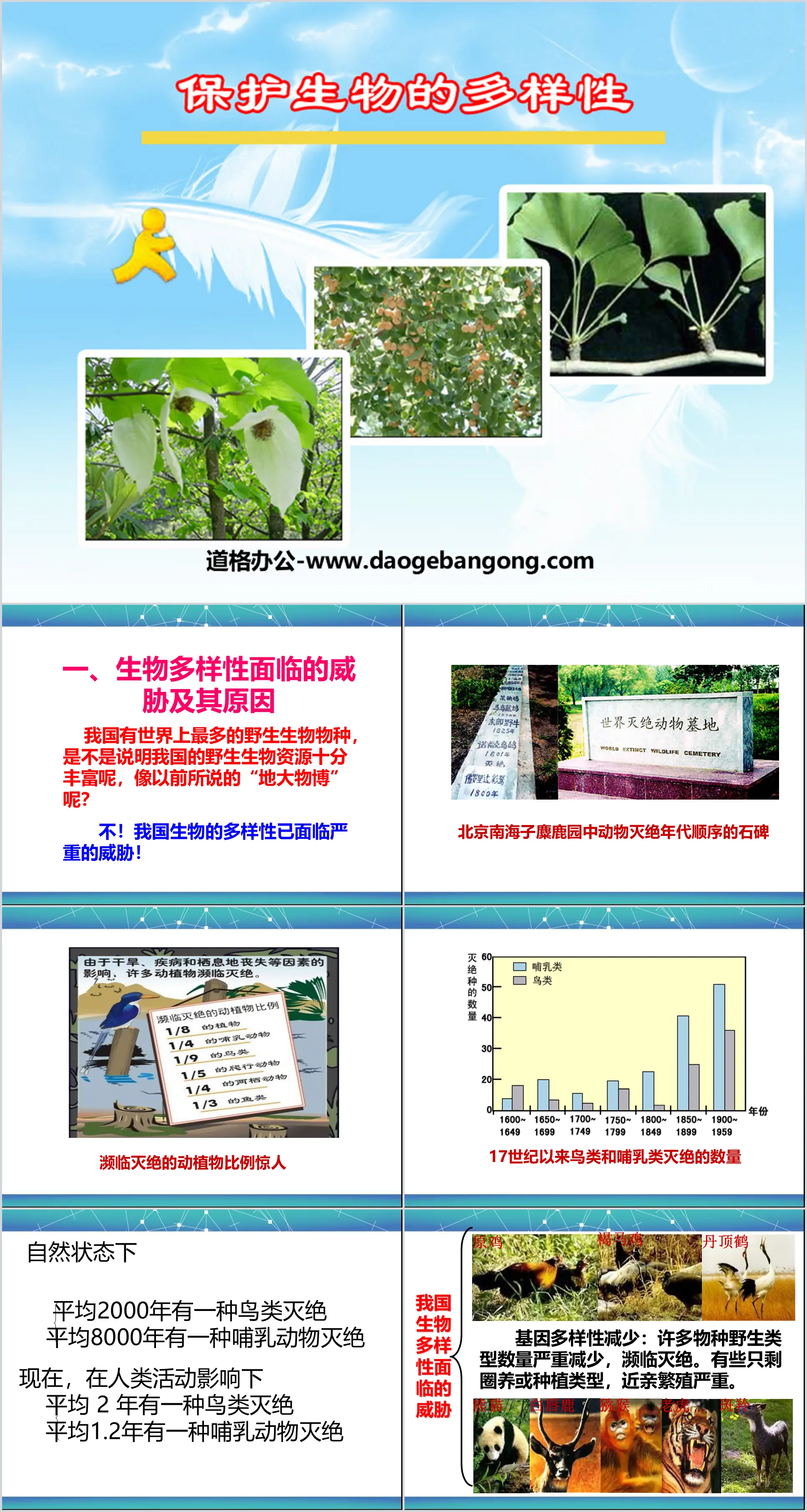 《保护生物的多样性》PPT课件
