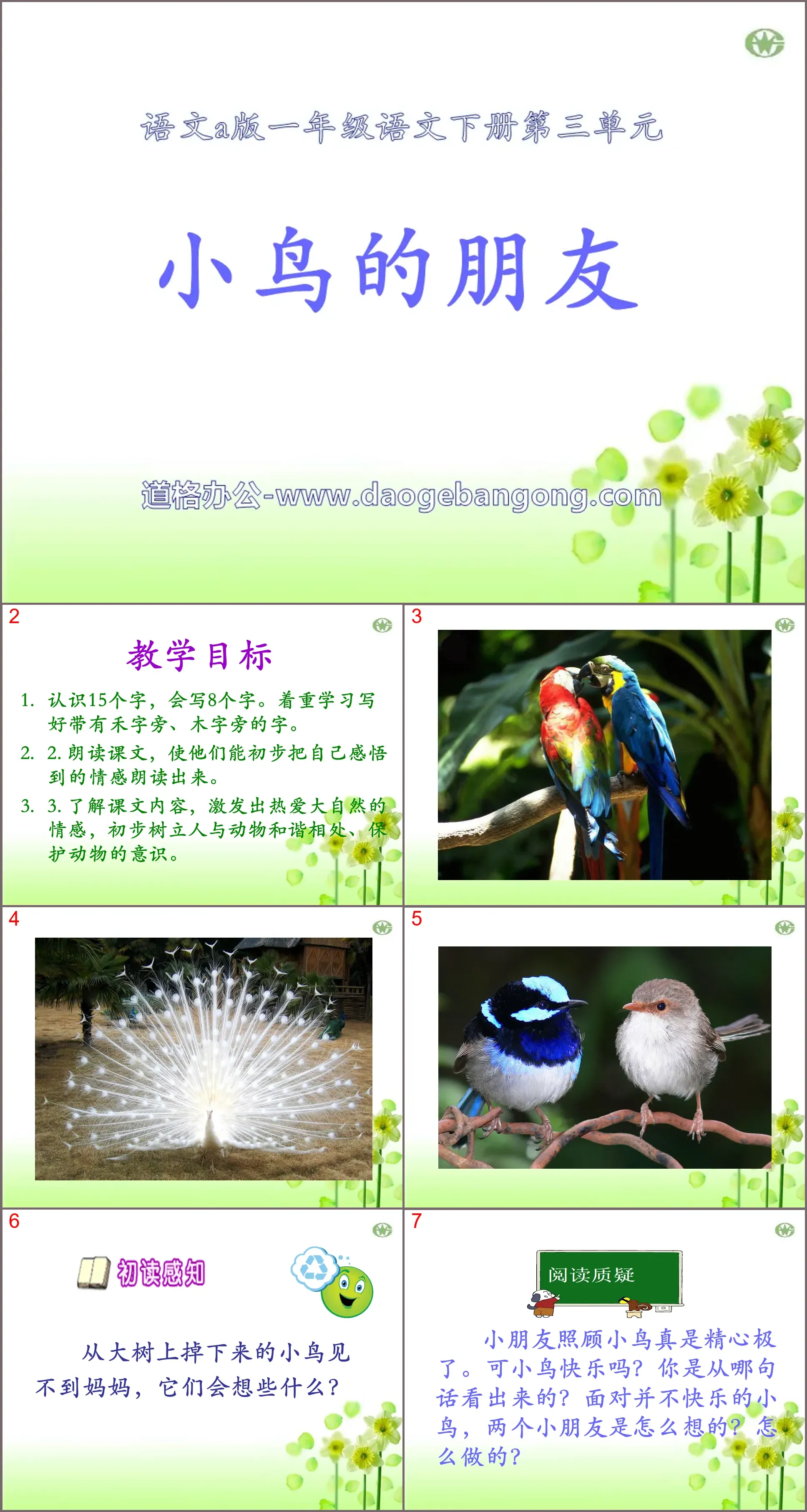 "Bird Friends" PPT courseware