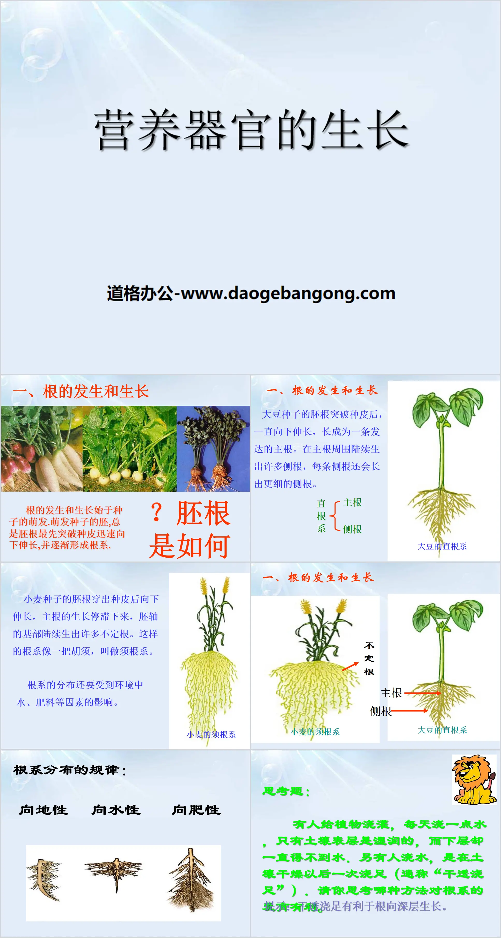 Didacticiel PPT « Croissance des organes nutritionnels »