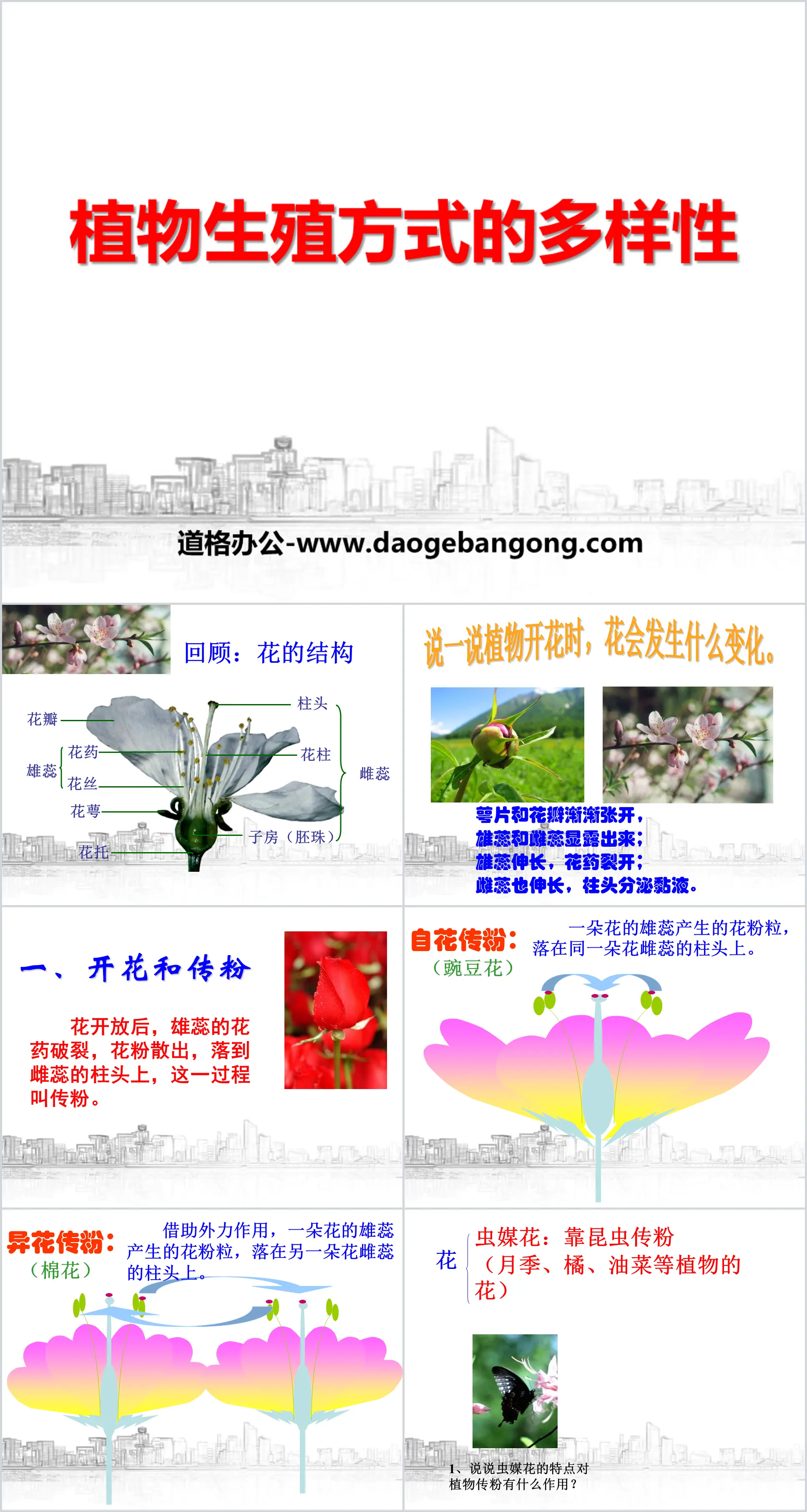 《植物生殖方式的多样性》PPT
