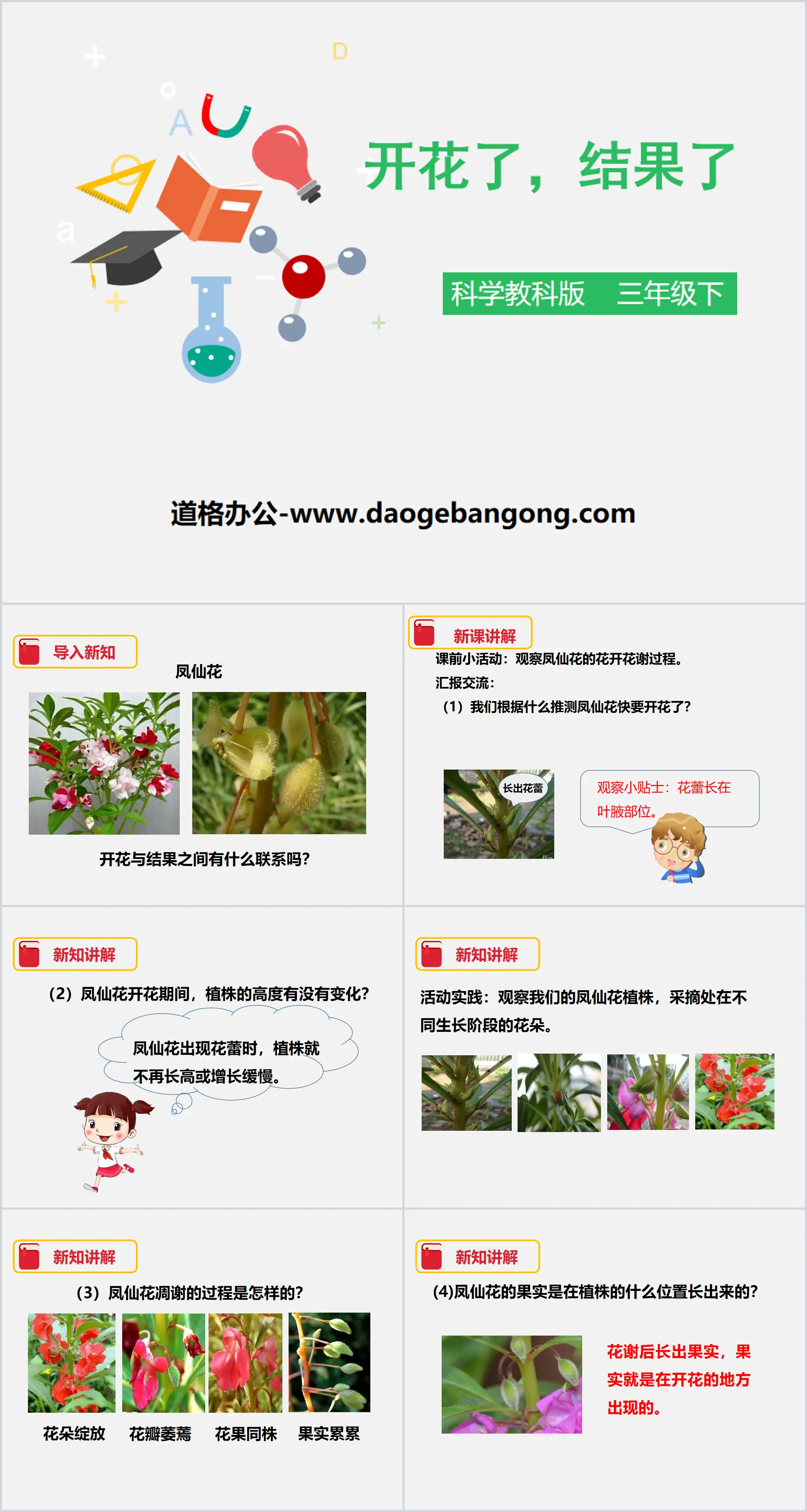 《开花了，结果了》植物的生长变化PPT下载
