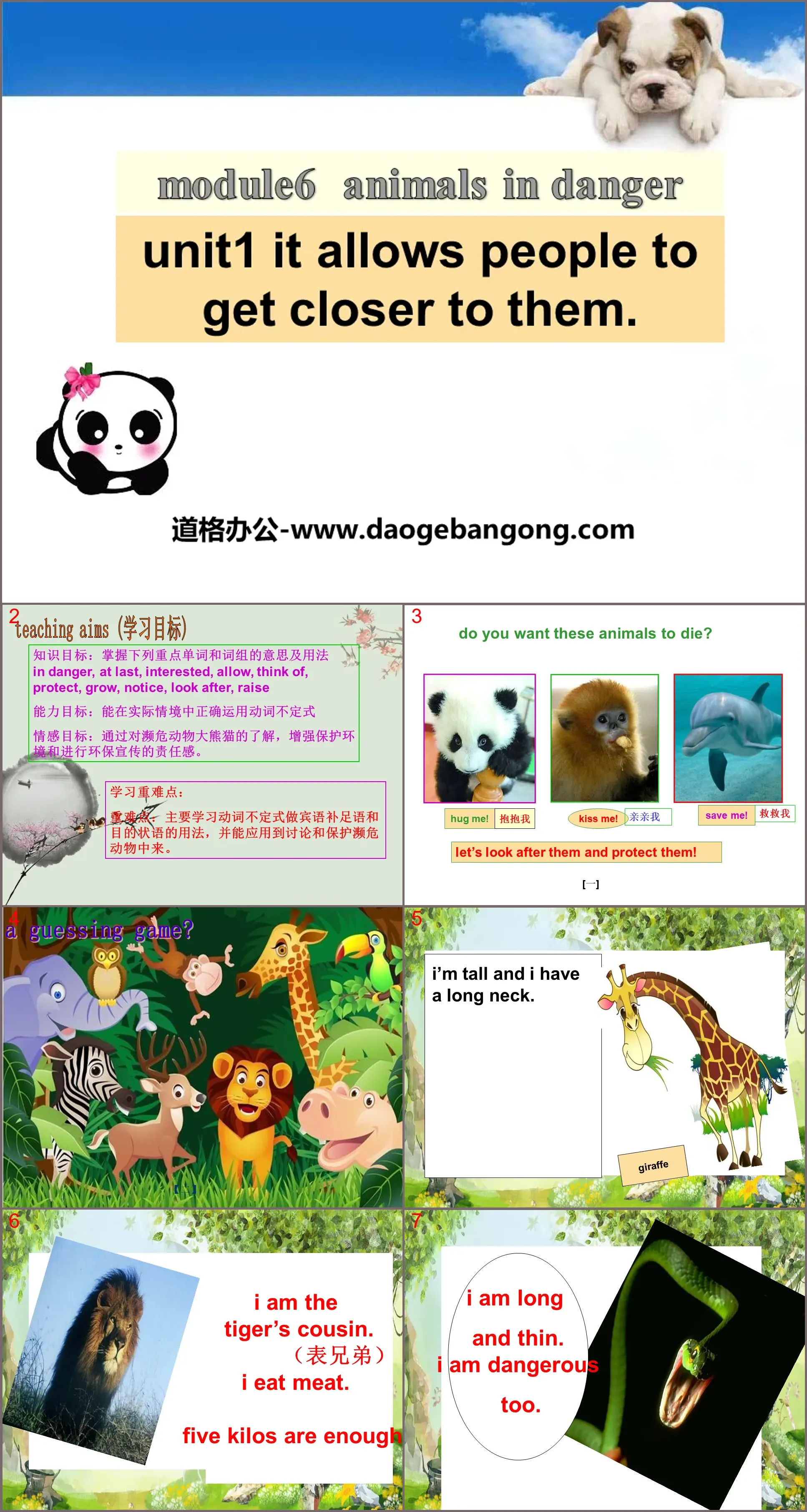 《It allows people to get closer to them》Animals in danger PPT課件2