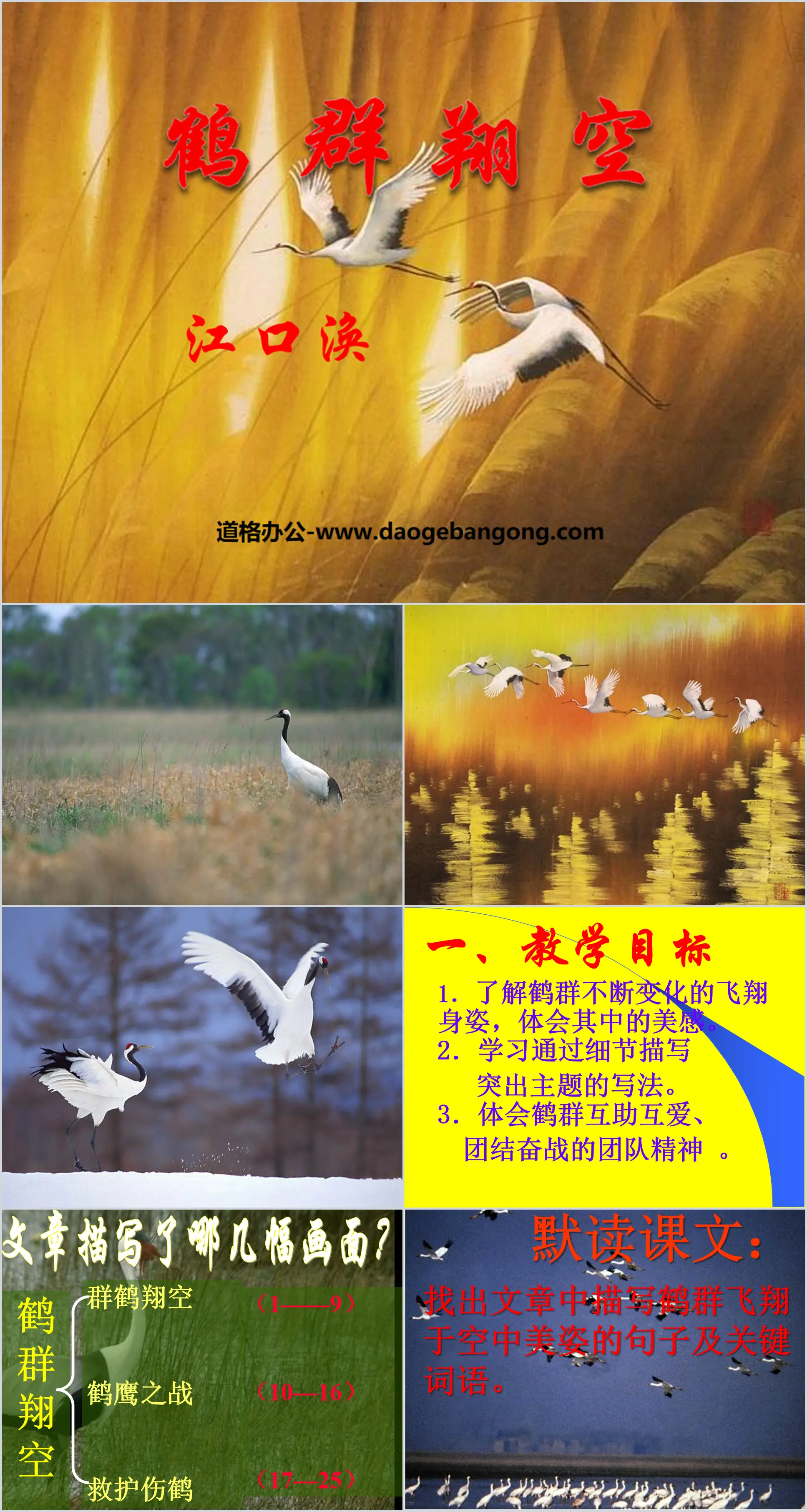 "Cranes Soaring in the Sky" PPT Courseware 2