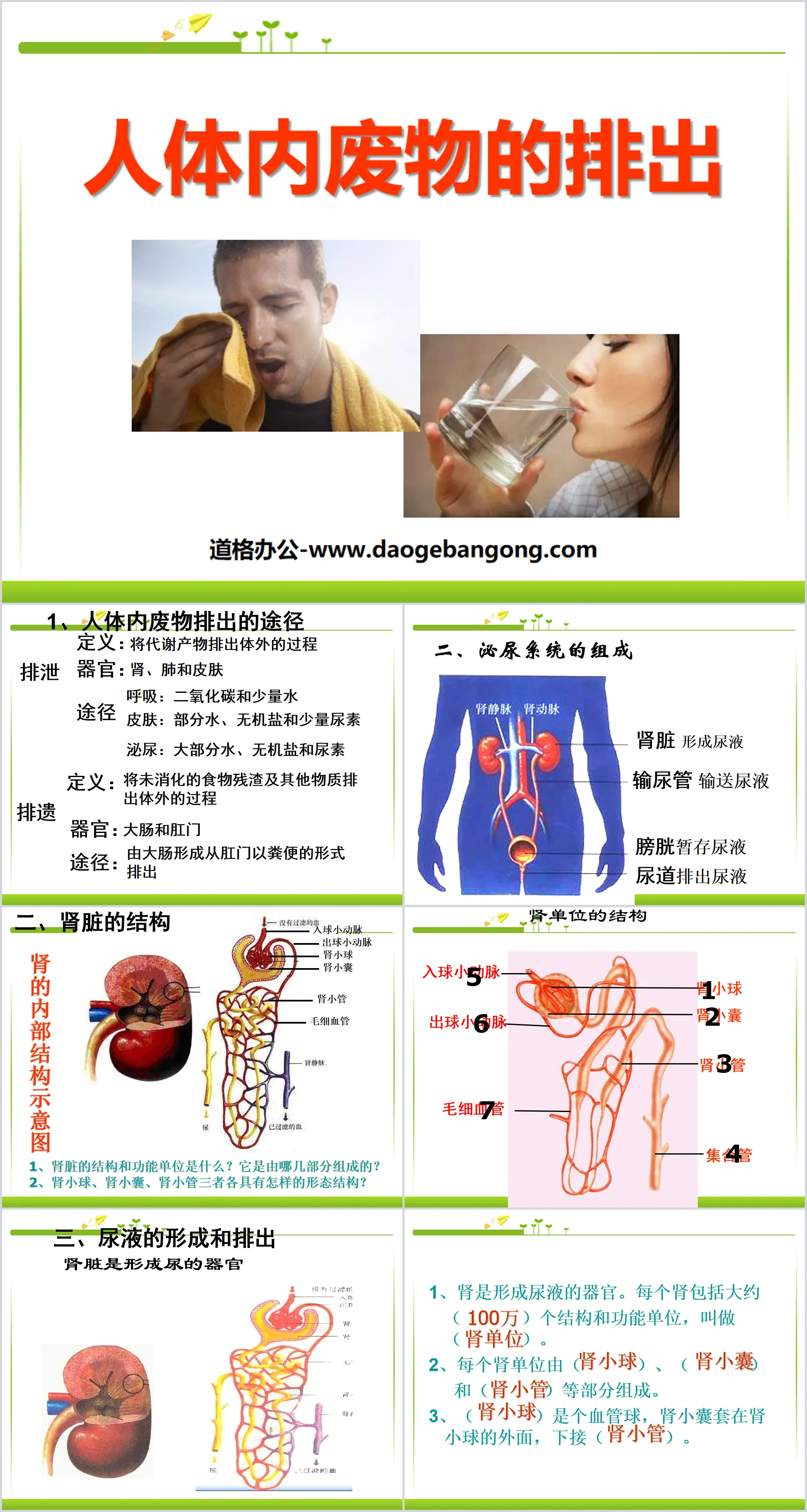 《人体内废物的排出》PPT课件6
