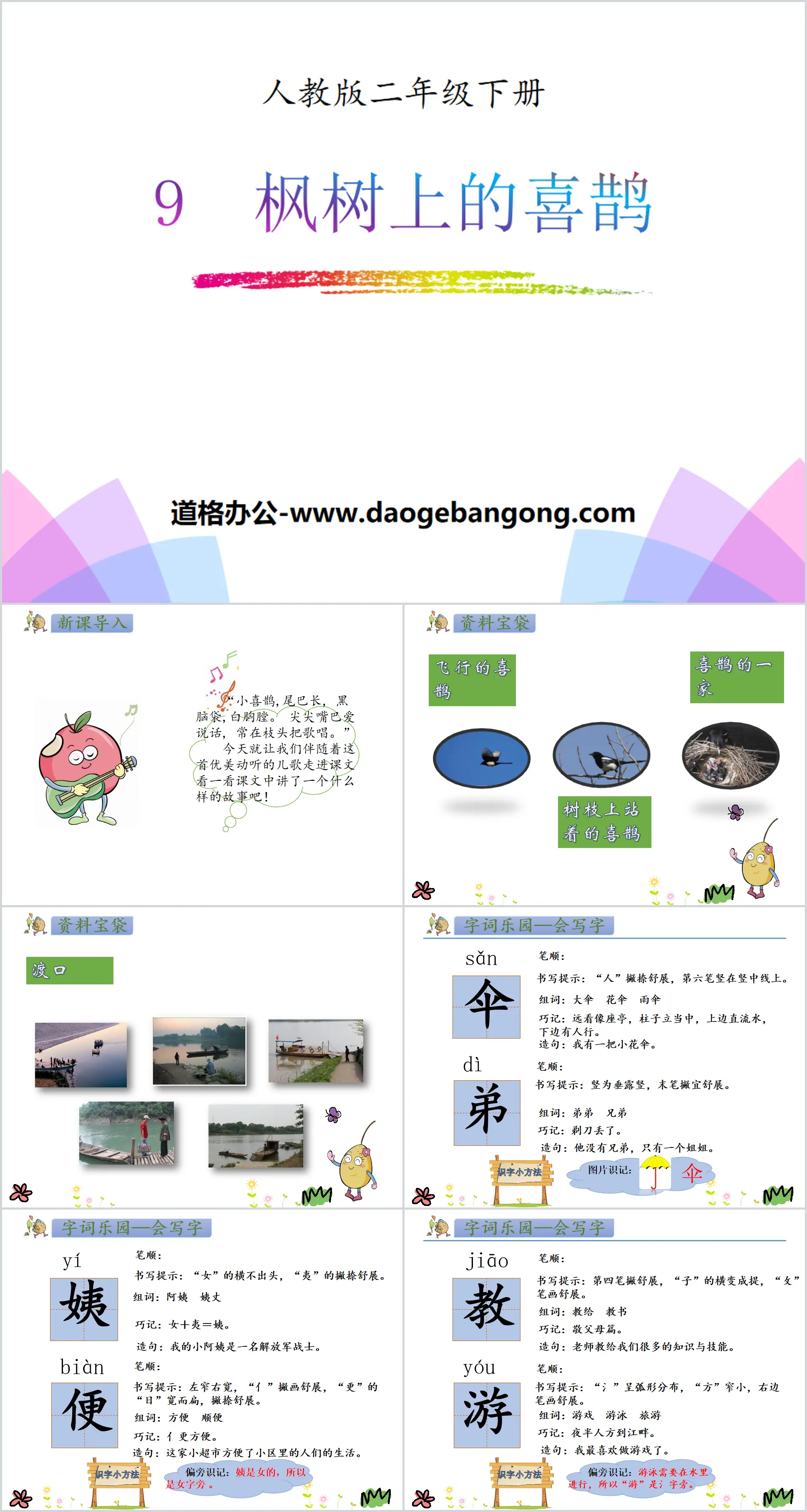 《枫树上的喜鹊》PPT