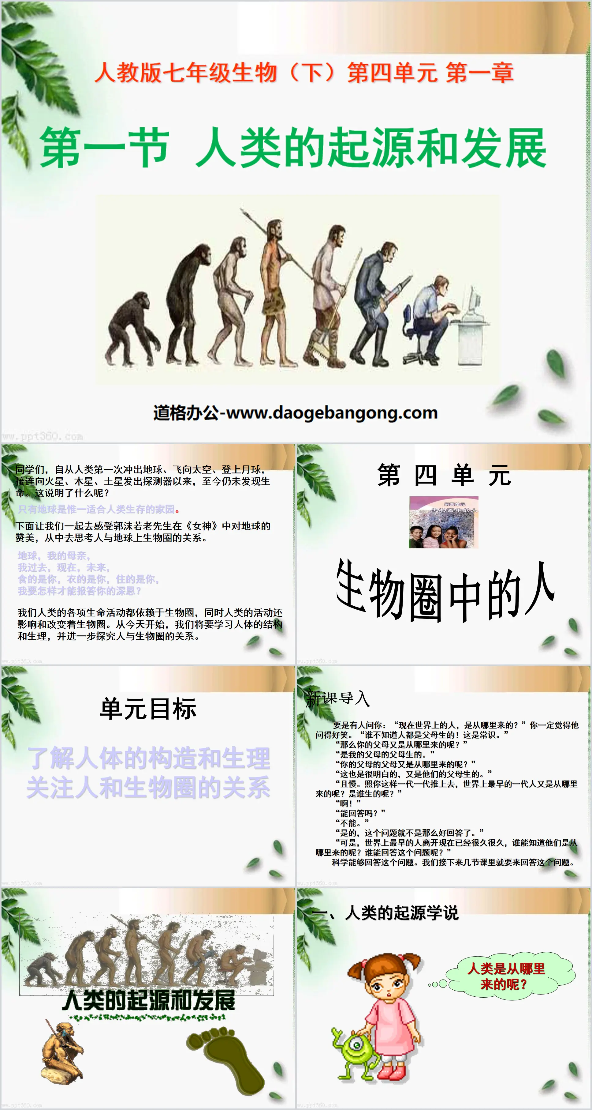 《人类的起源和发展》人的由来PPT课件4