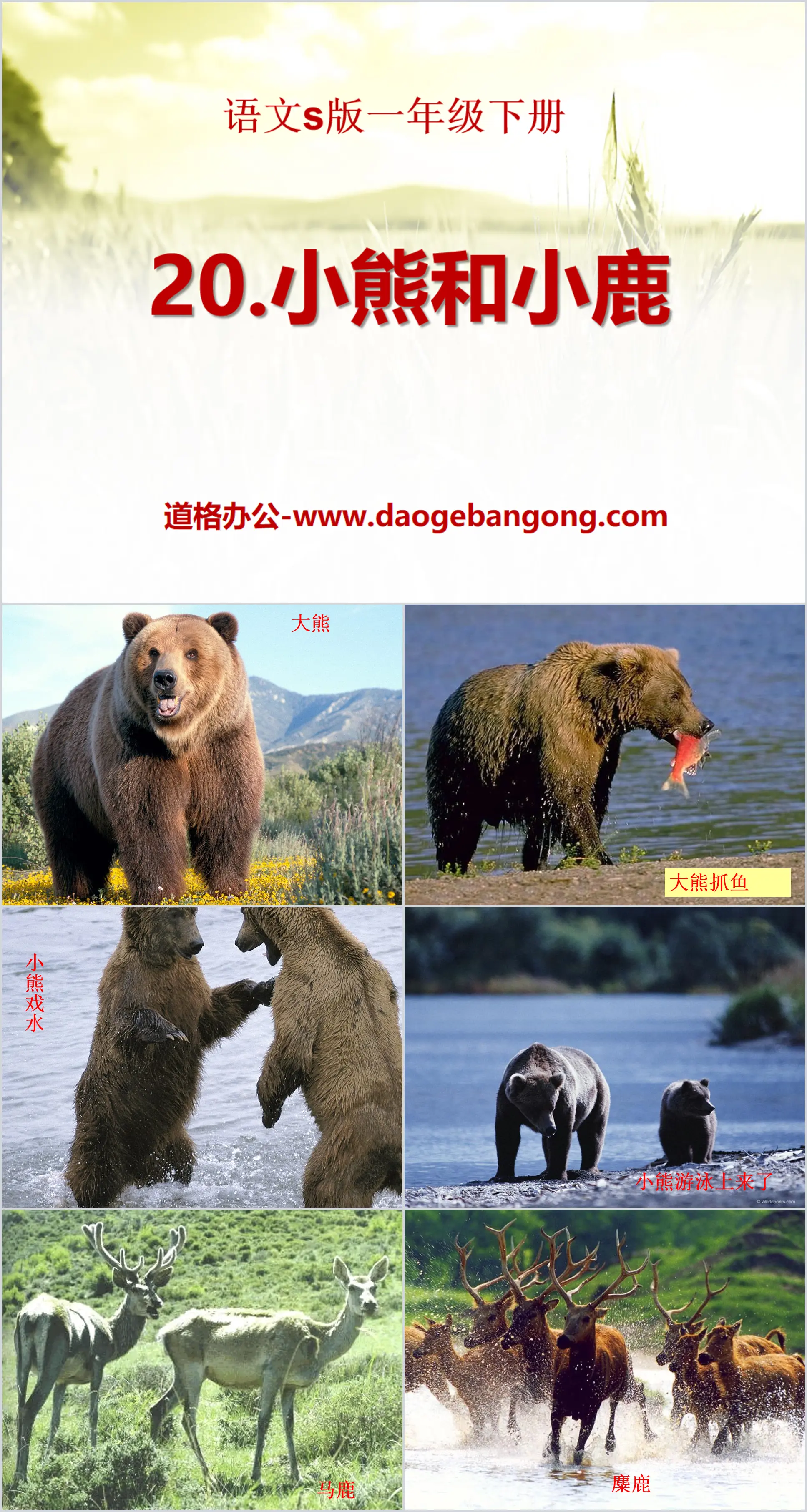 "Little Bear and Fawn" PPT Courseware 4