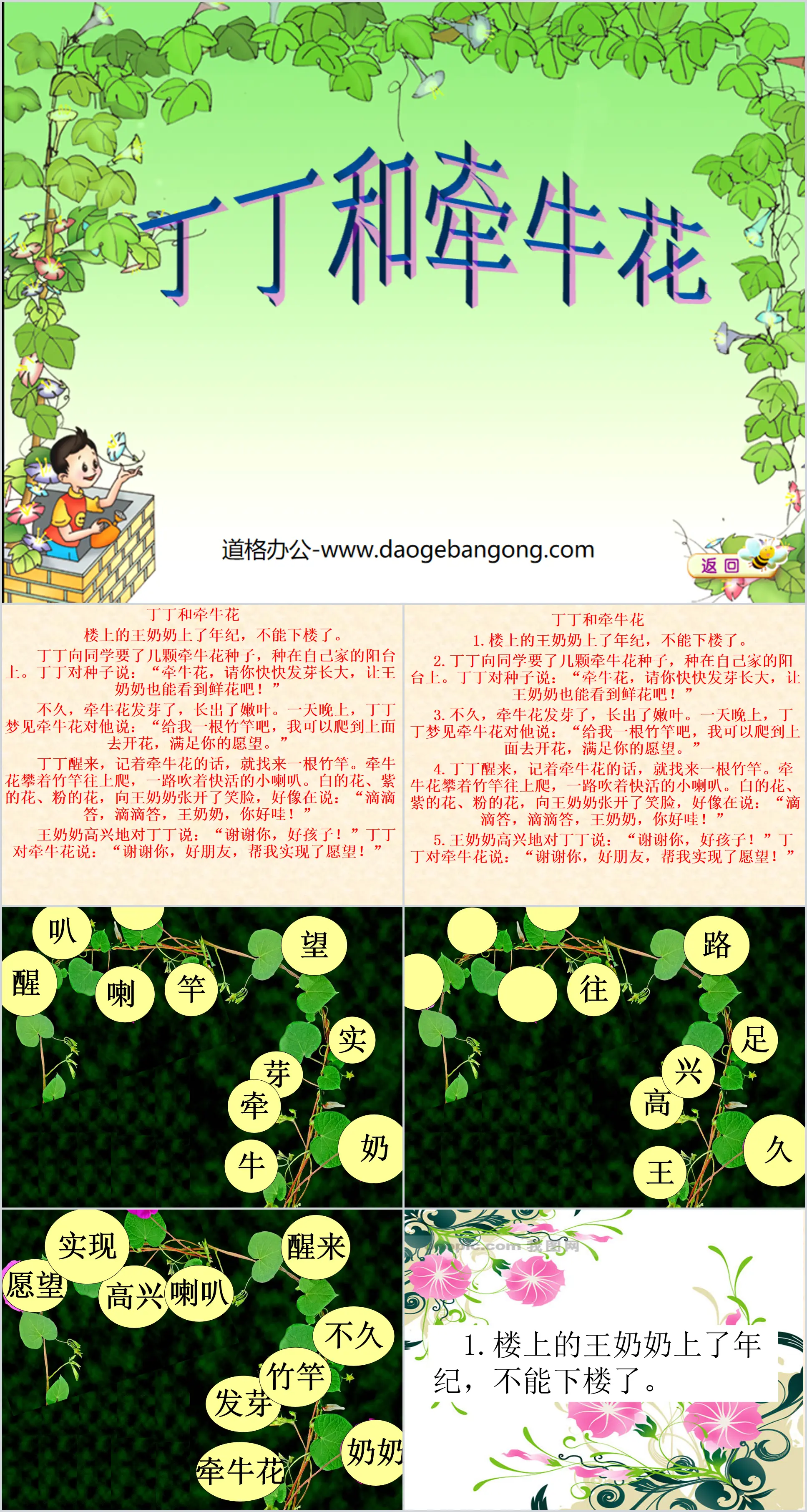 《丁丁與牽牛花》PPT課件