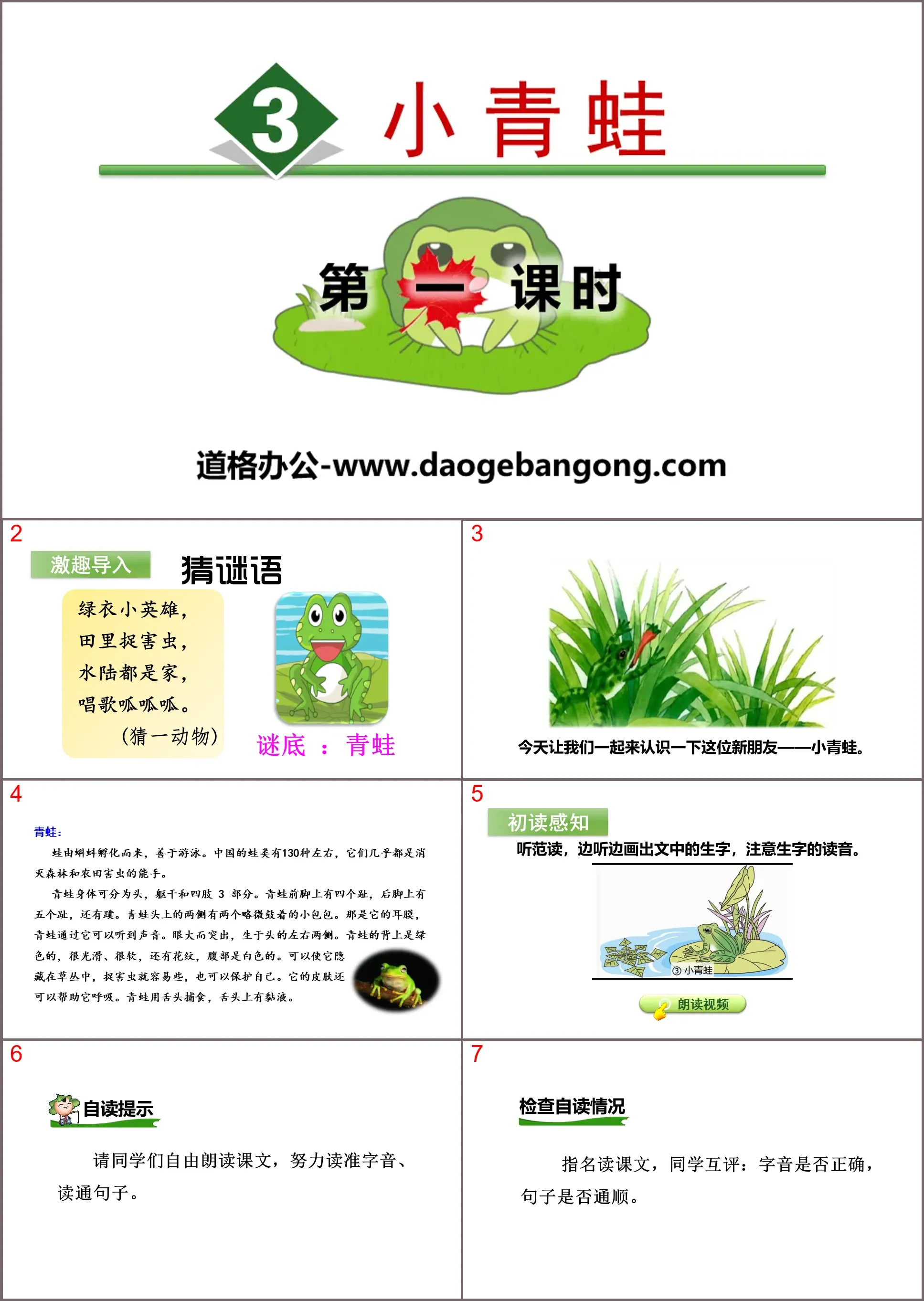 识字《小青蛙》PPT(第一课时)