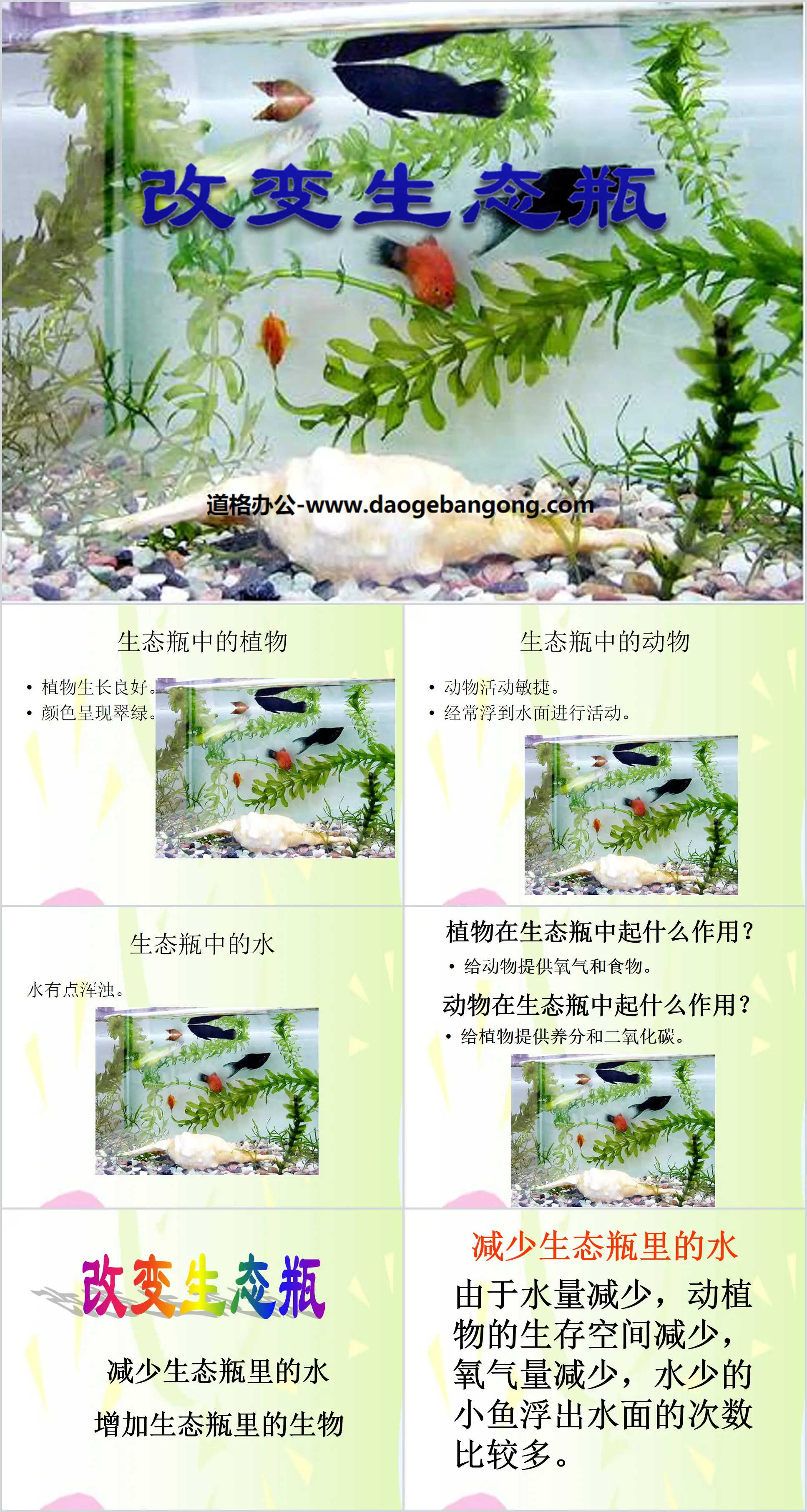 《改变生态瓶》生物与环境PPT课件
