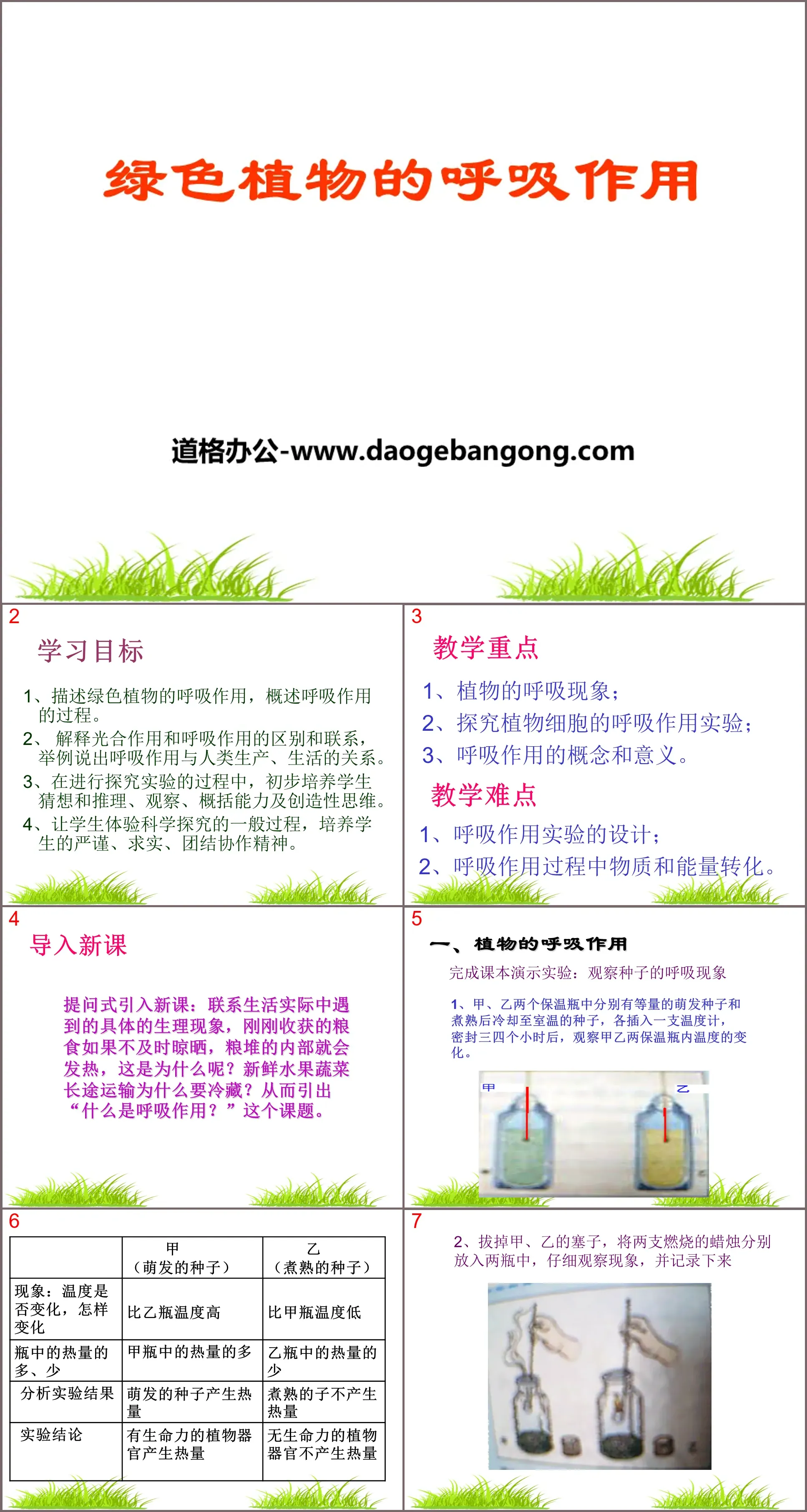 《绿色植物的呼吸作用》PPT