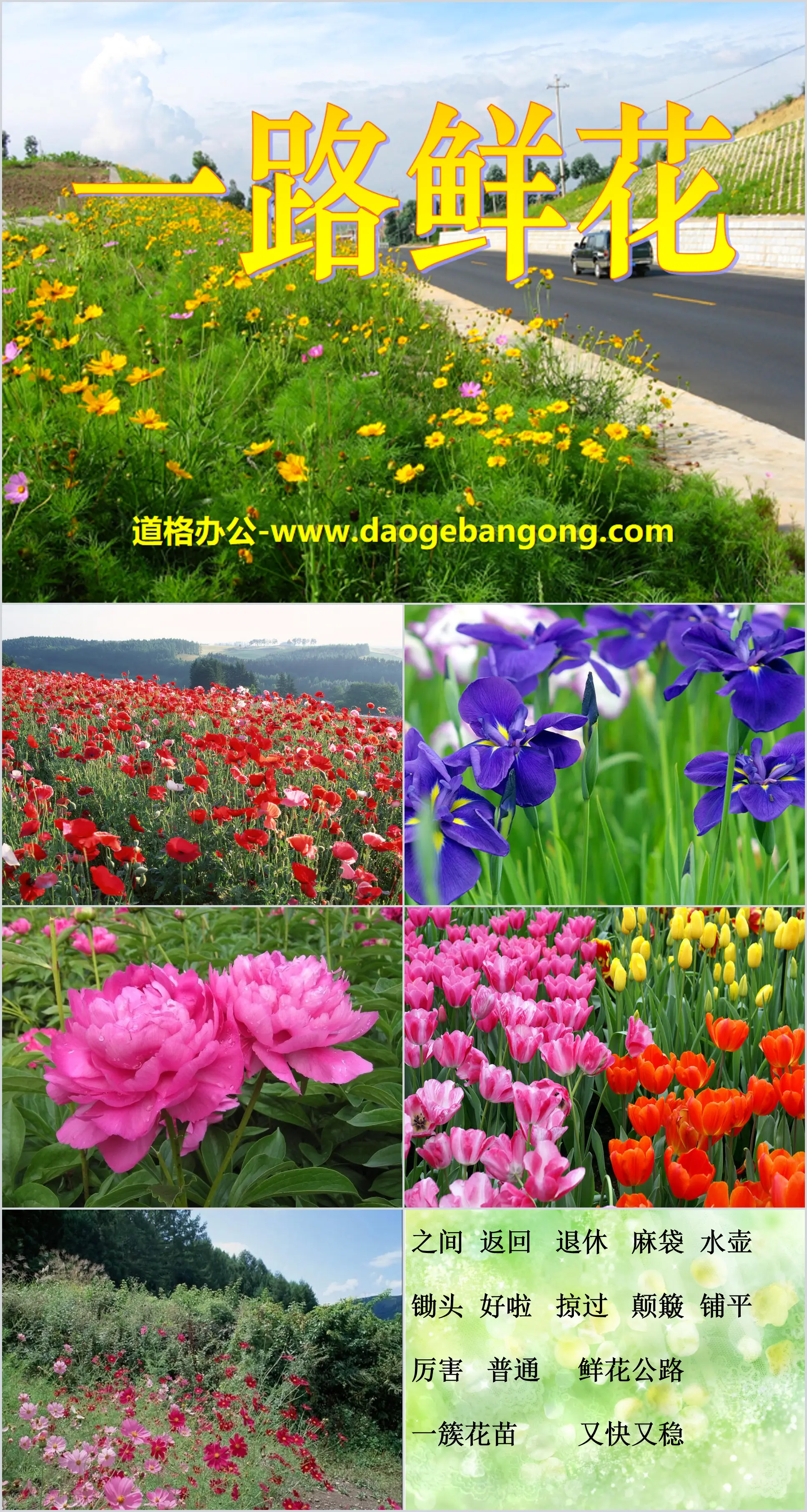 "Flowers Along the Road" PPT Courseware 2