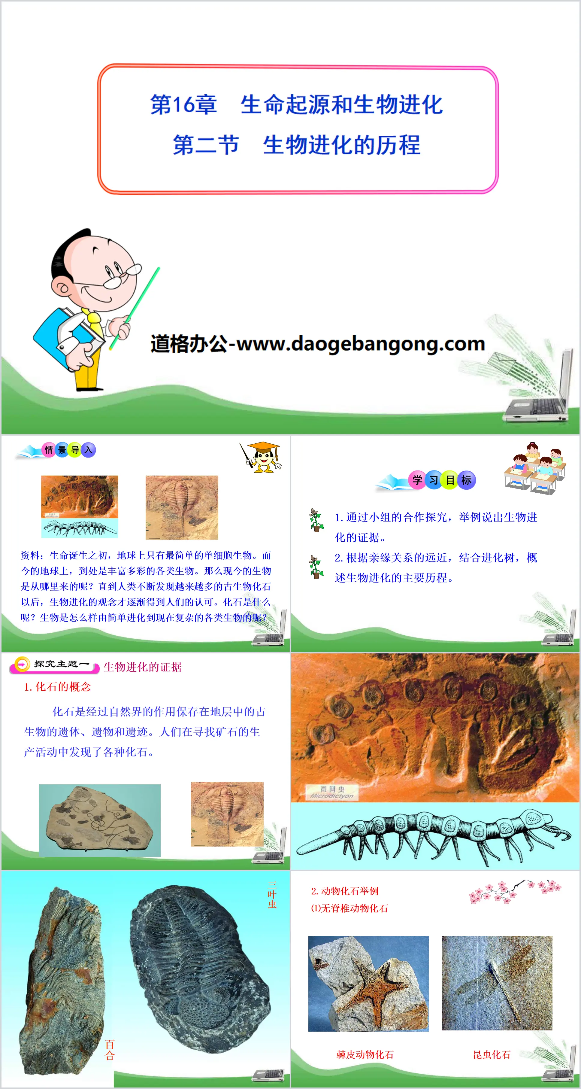 《生物進化的歷程》PPT