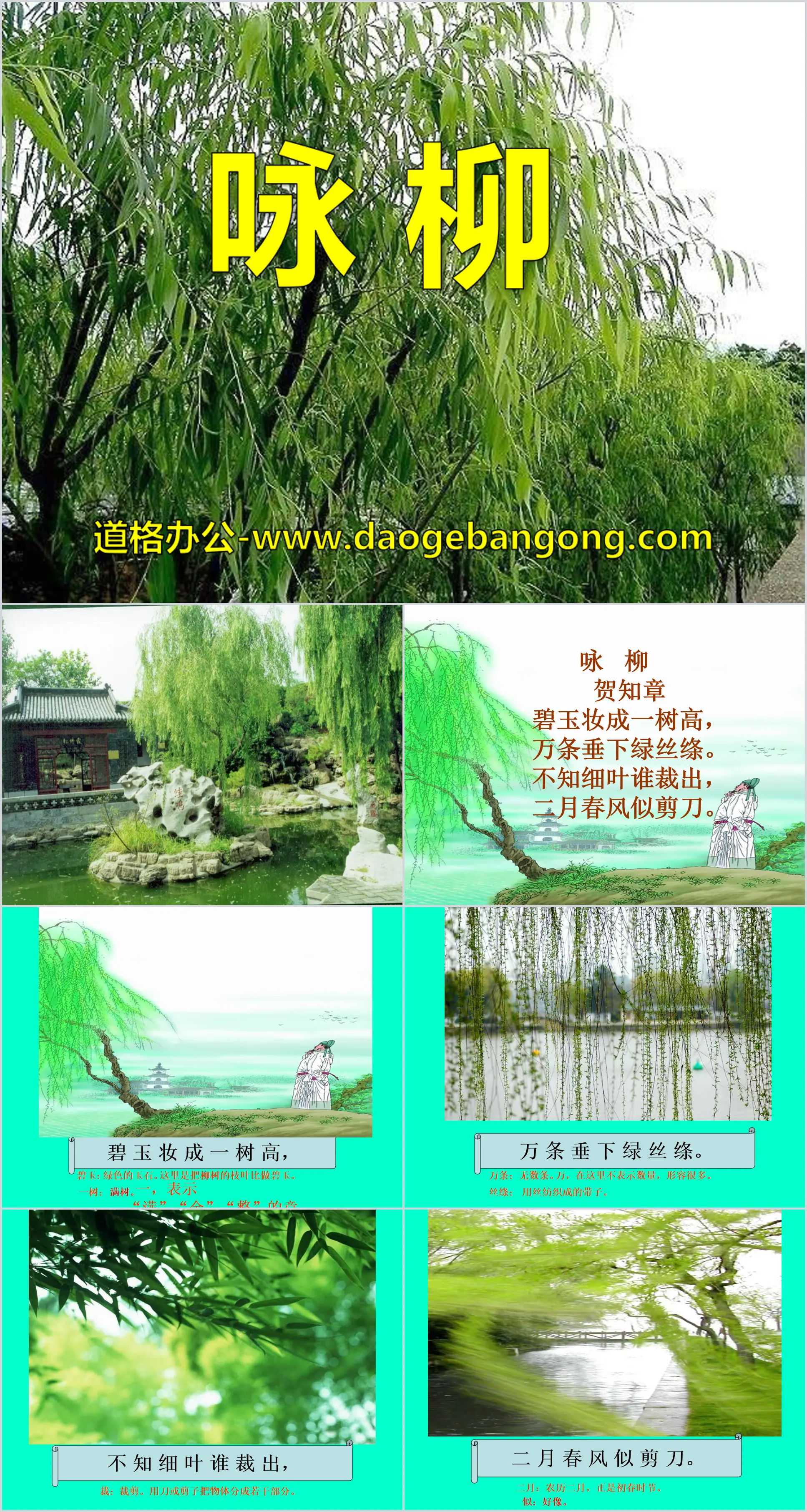 "Yong Willow" PPT courseware 11