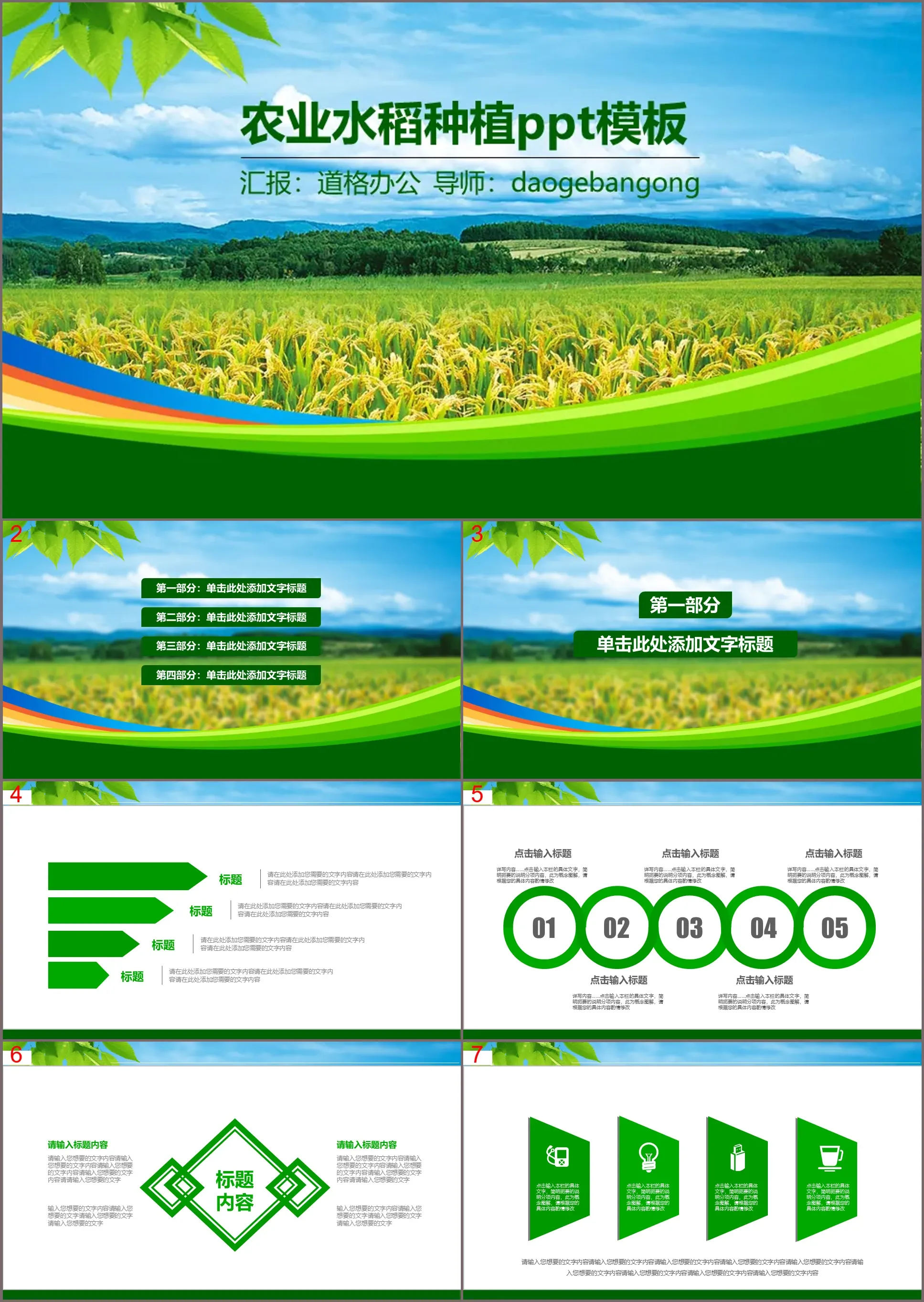 Agricultural PPT template with green rice field background