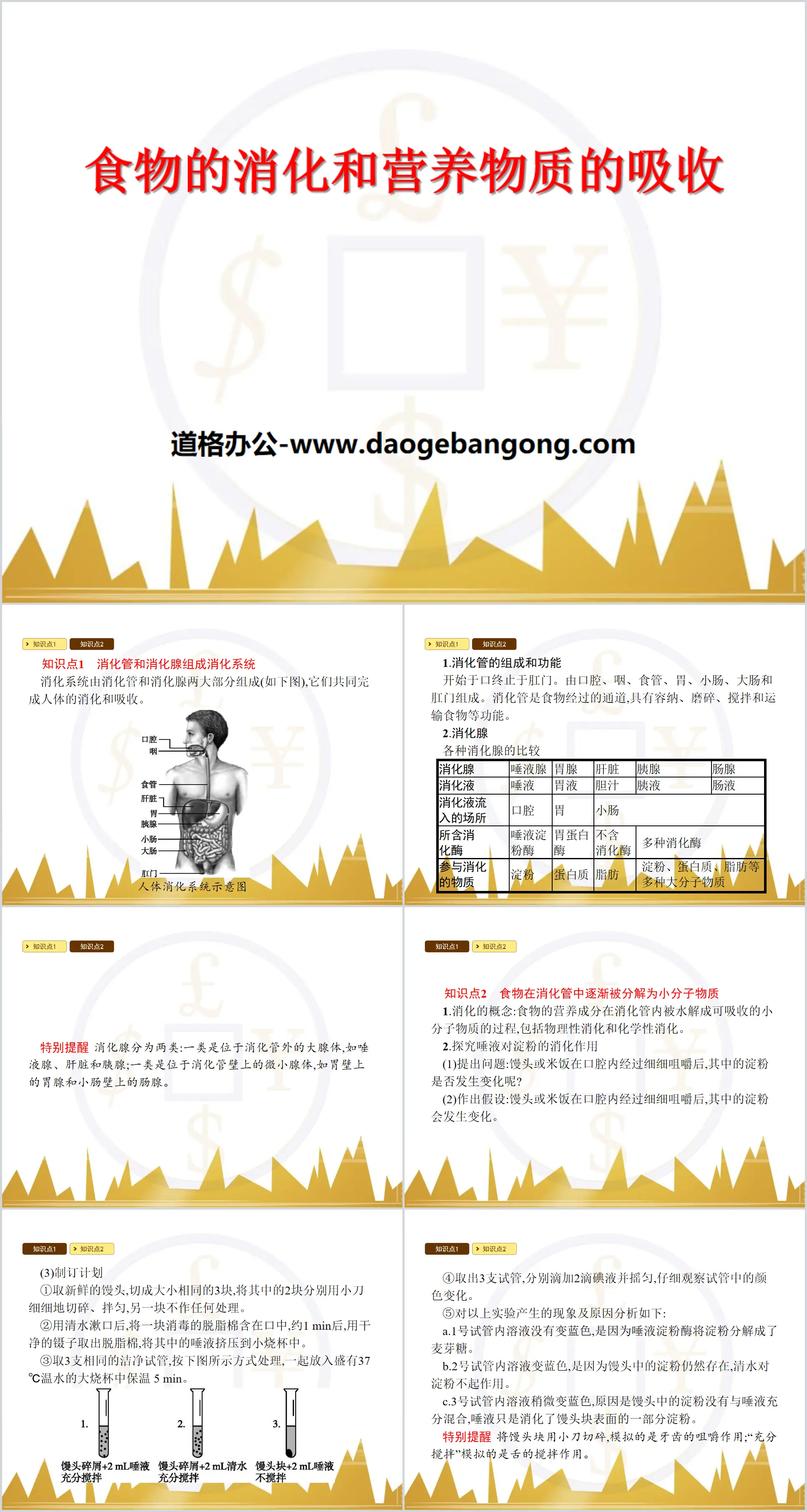 《食物的消化和營養物質的吸收》PPT課程下載