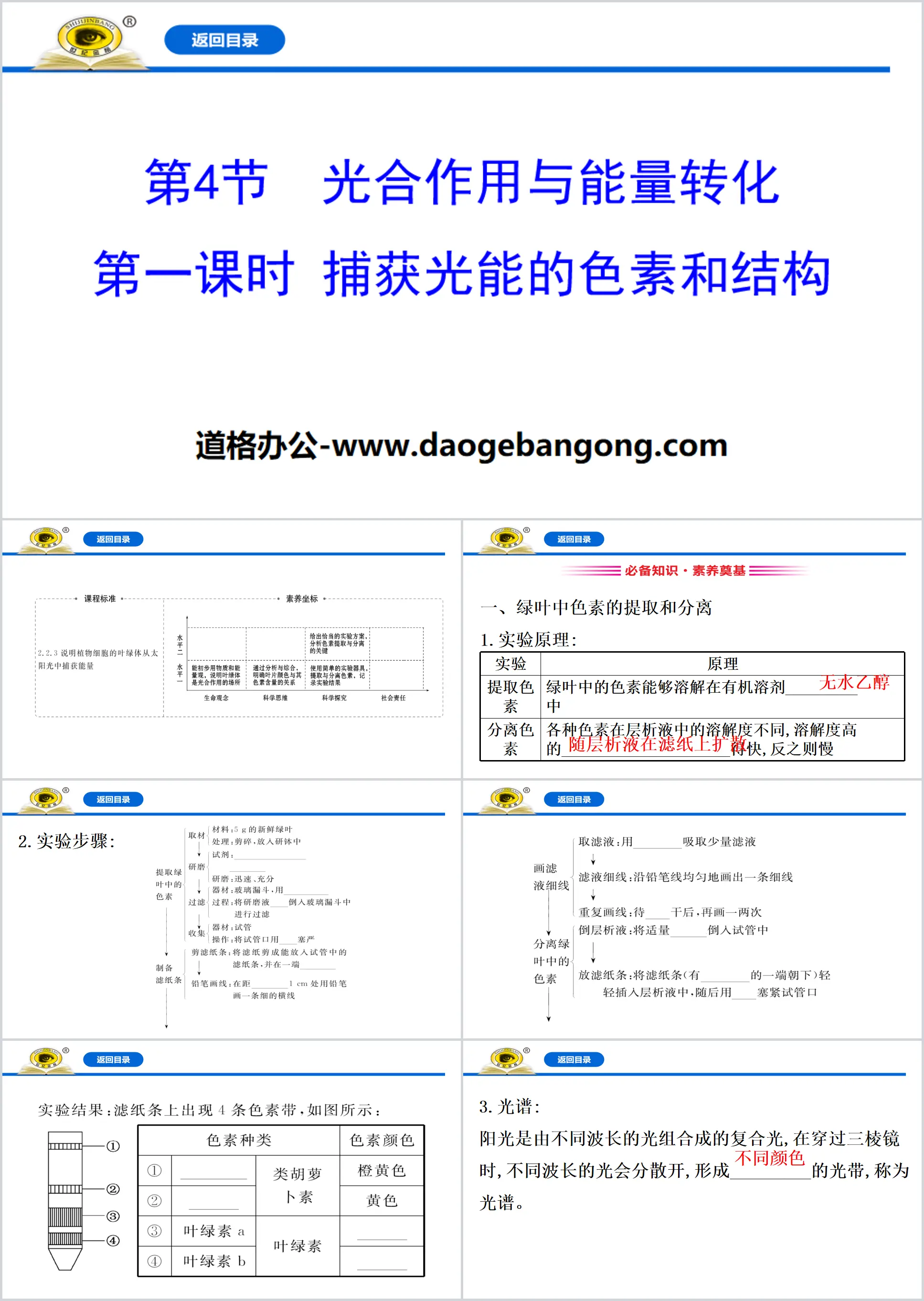 《光合作用與能量轉化》細胞的能量供應與利用PPT