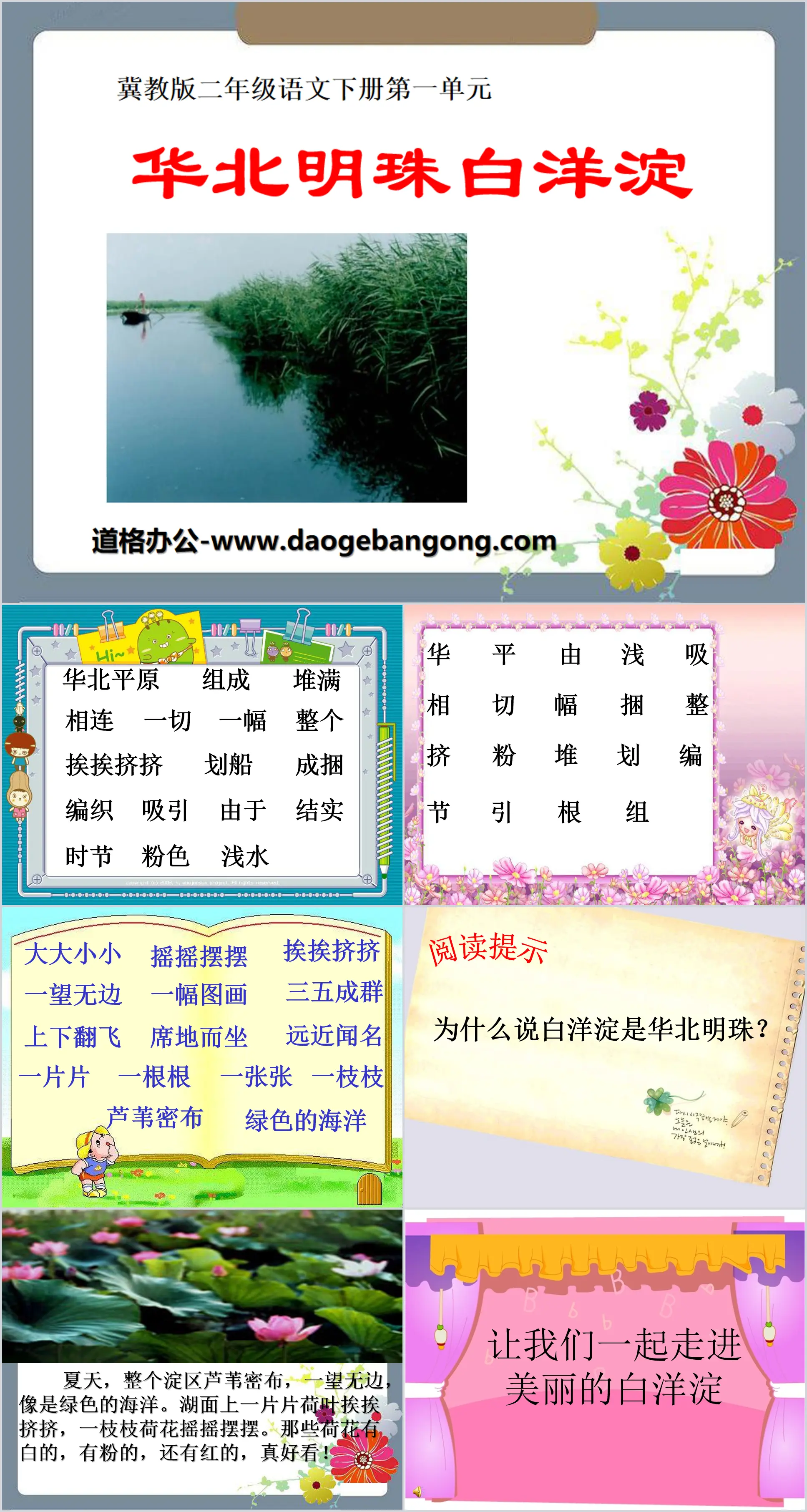 "North China Pearl Baiyangdian" PPT courseware 3