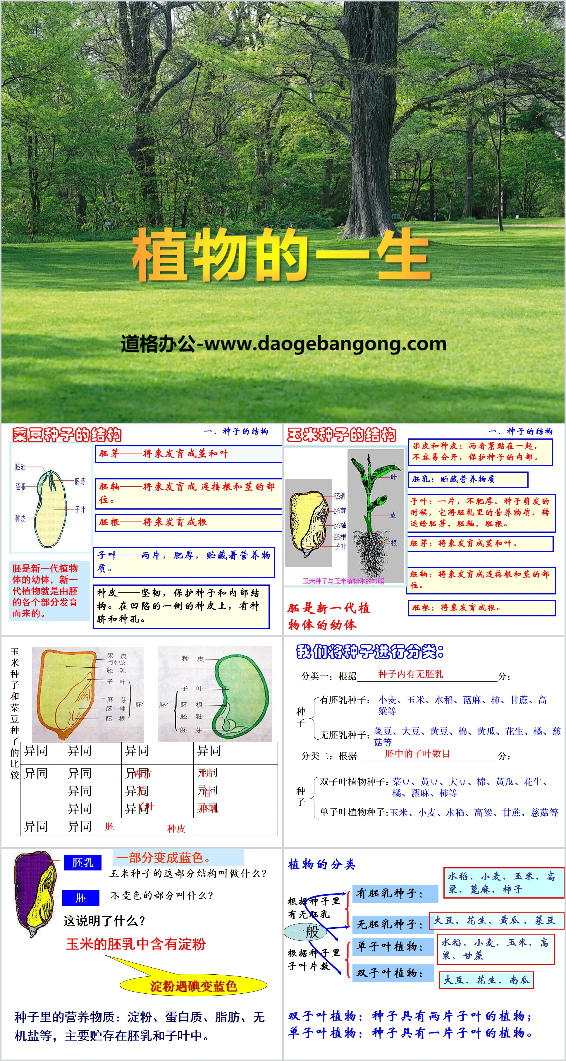 Cours PPT « La vie des plantes »