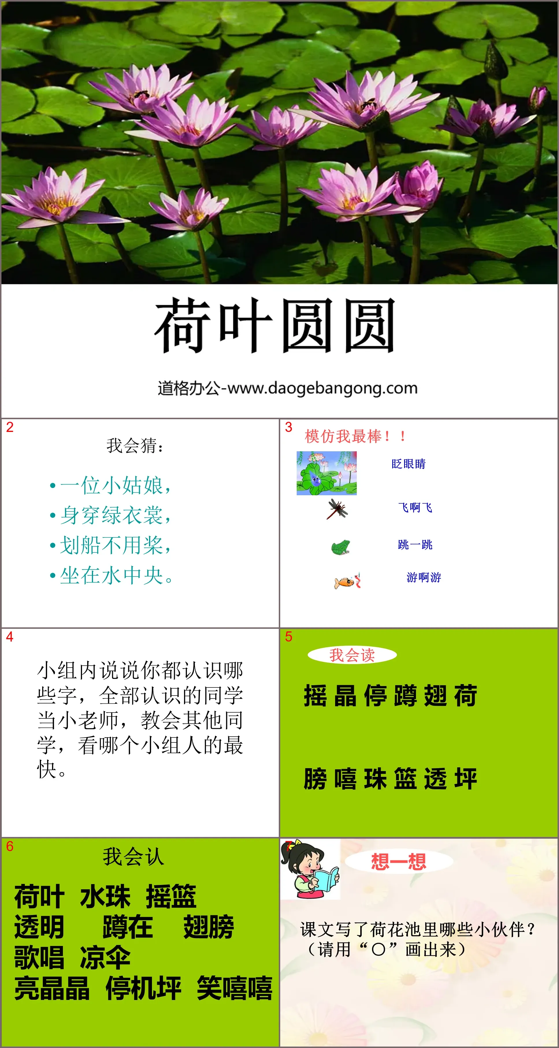 《荷叶圆圆》PPT课件3