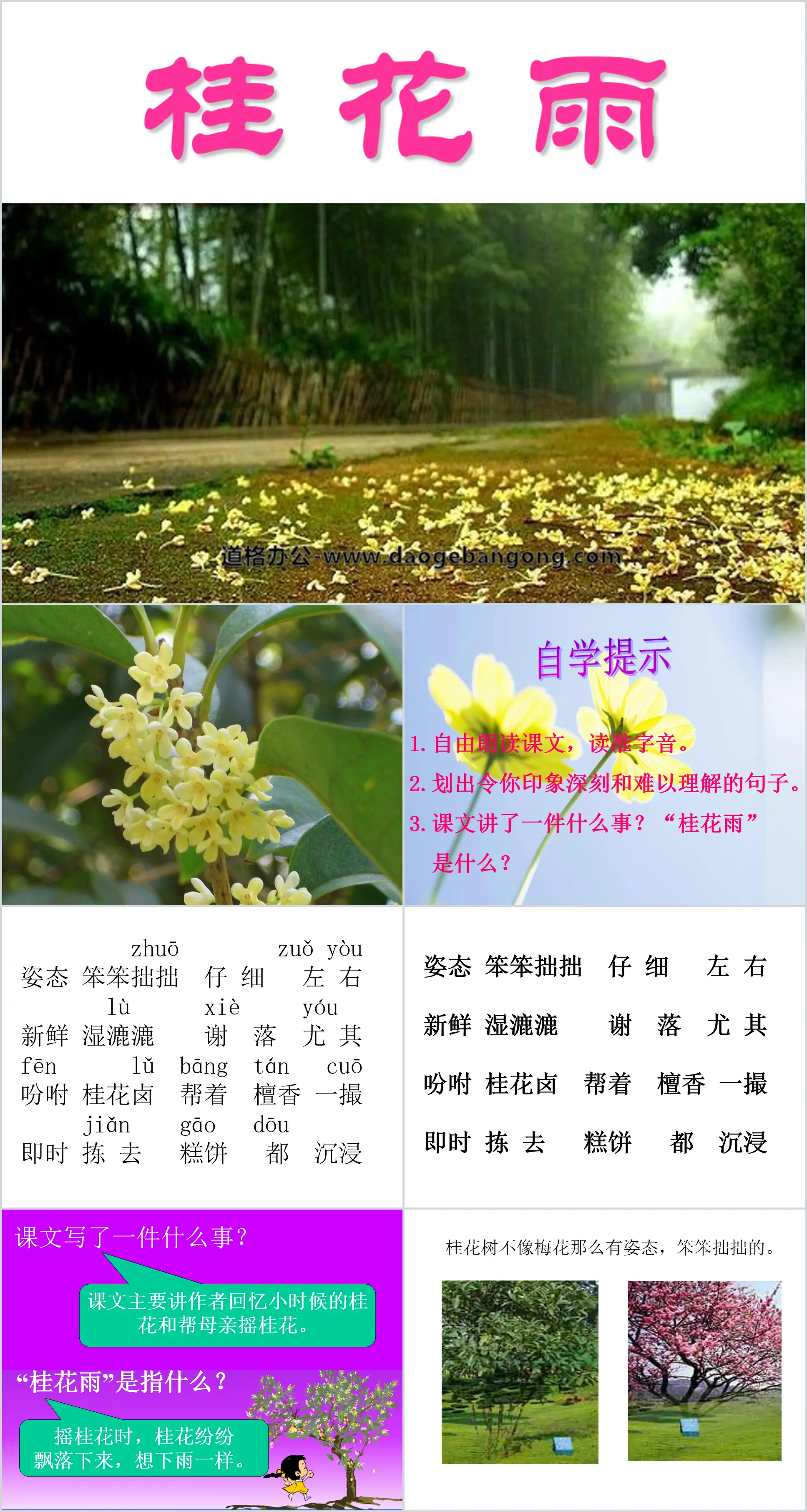 Didacticiel PPT "Osmanthus Rain" 3