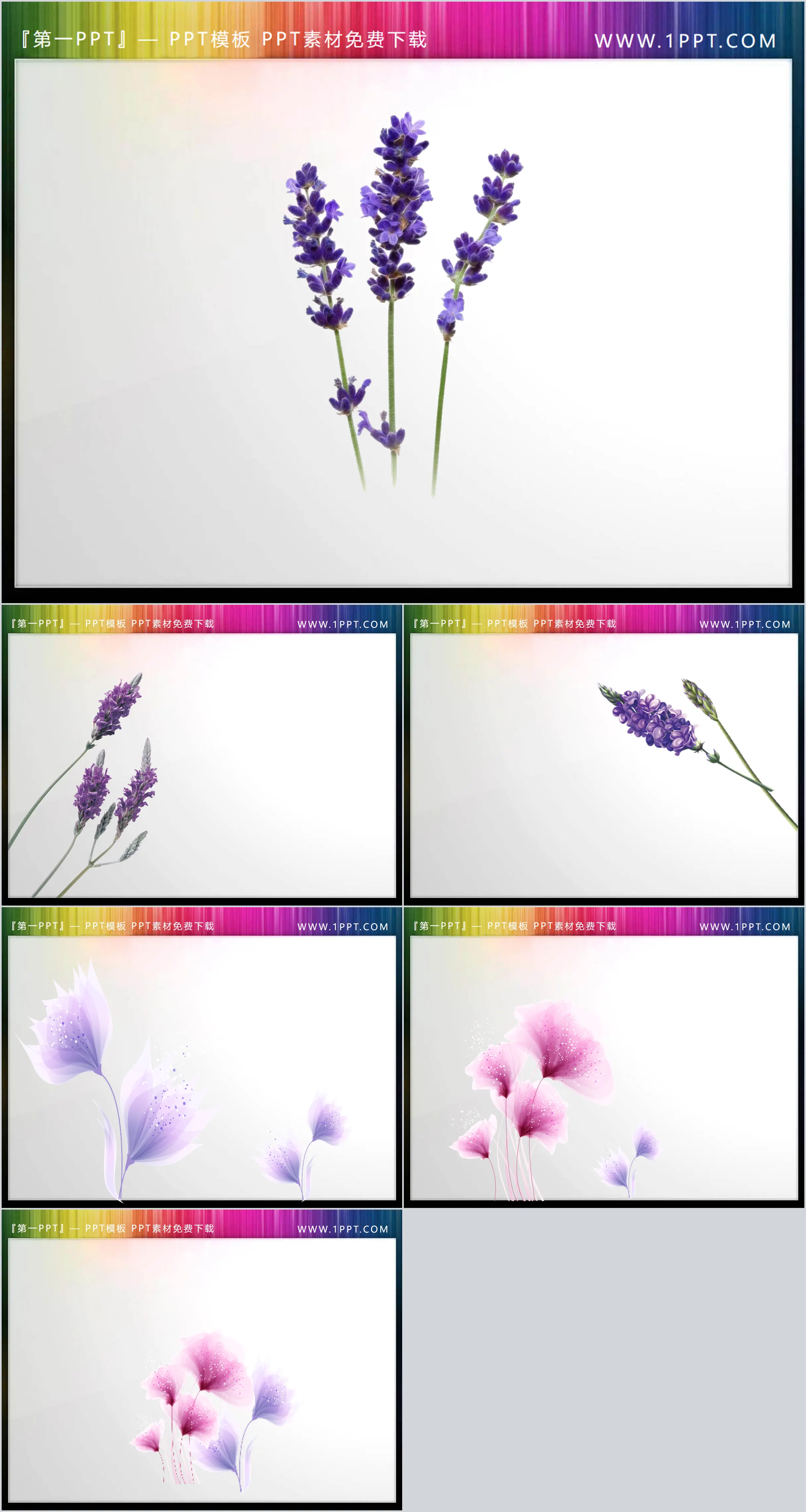 A set of beautiful transparent plant PPT material