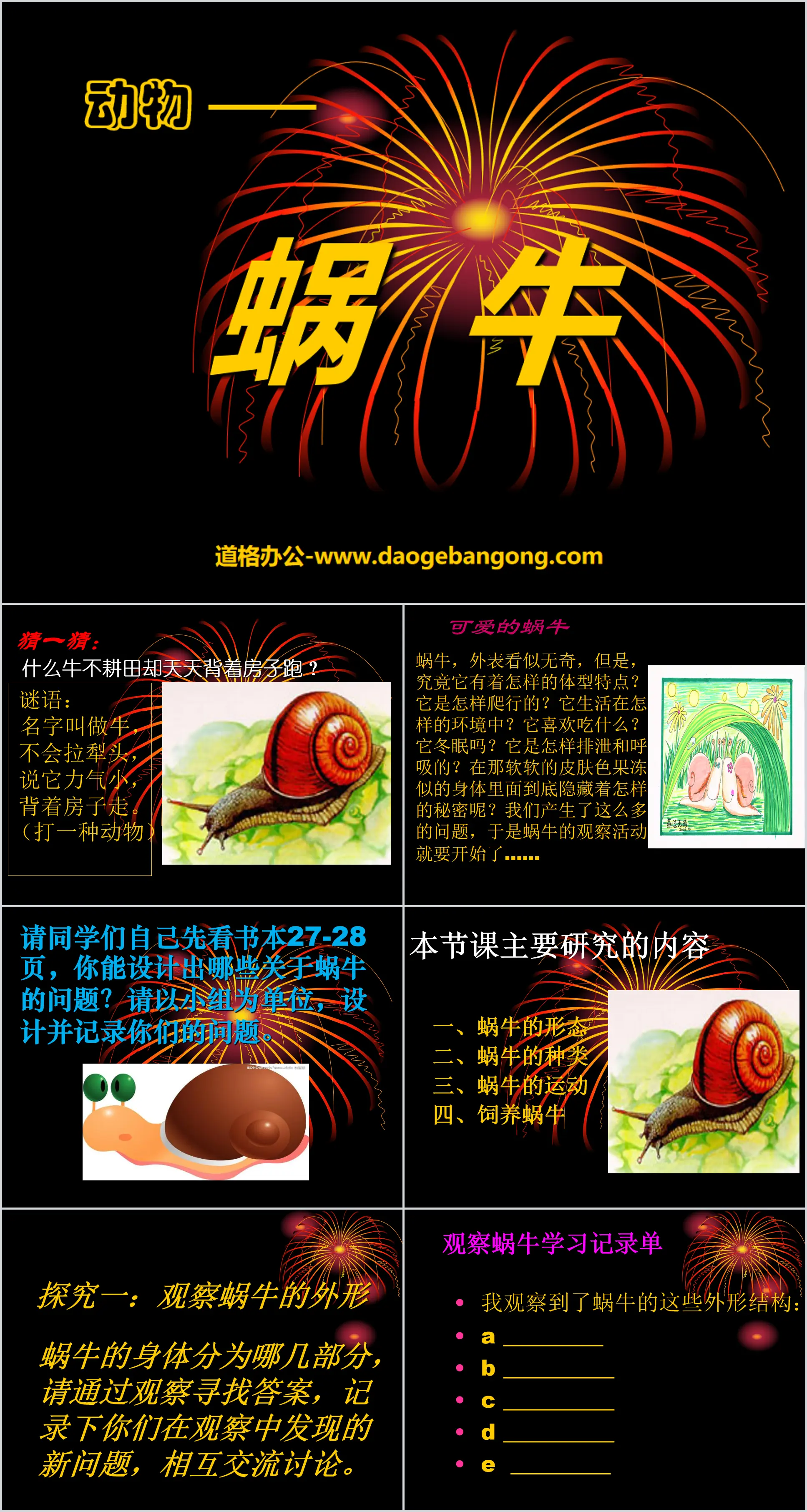 Didacticiel PPT animal "Escargot" 5