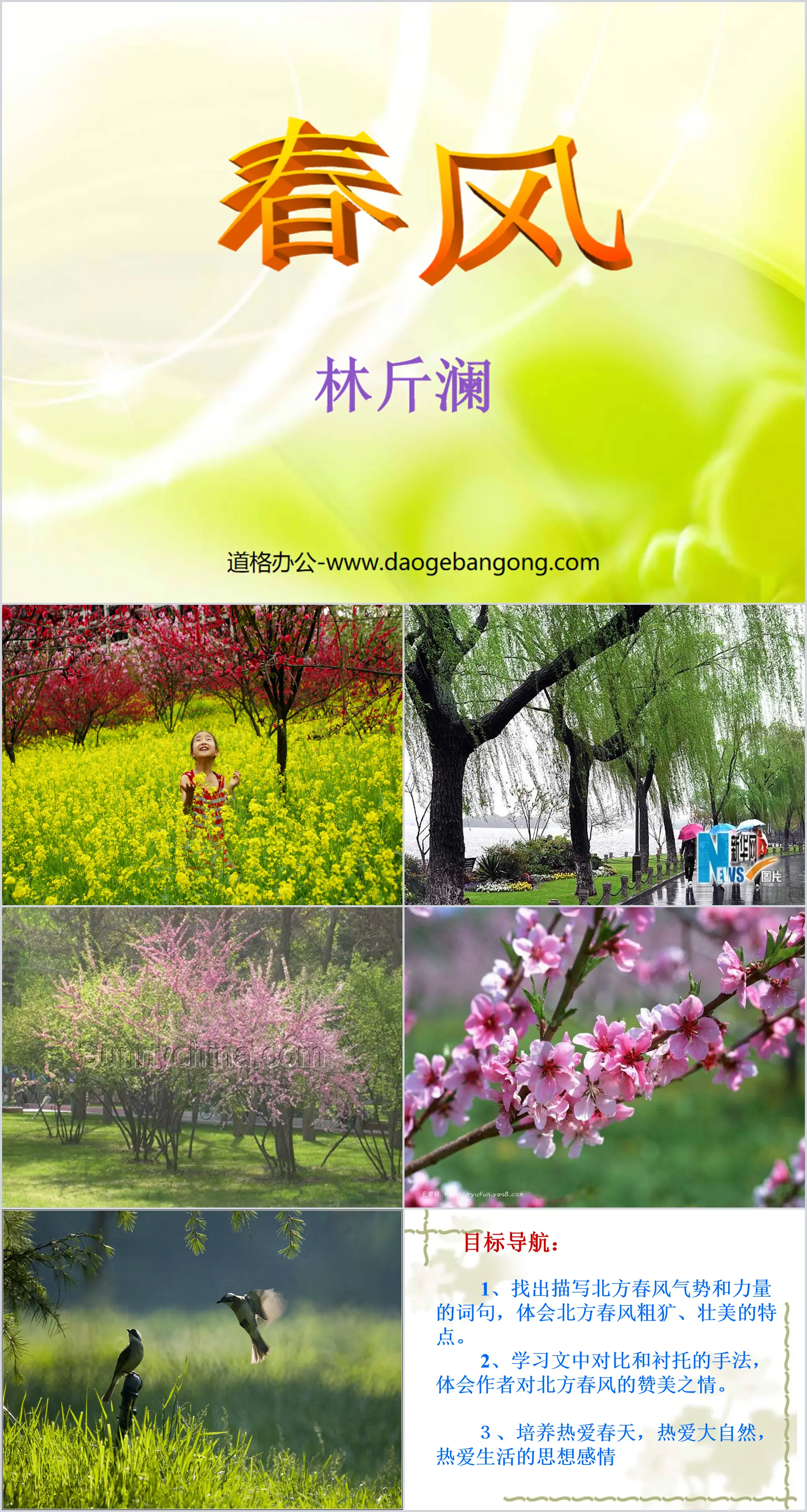 "Spring Breeze" PPT courseware