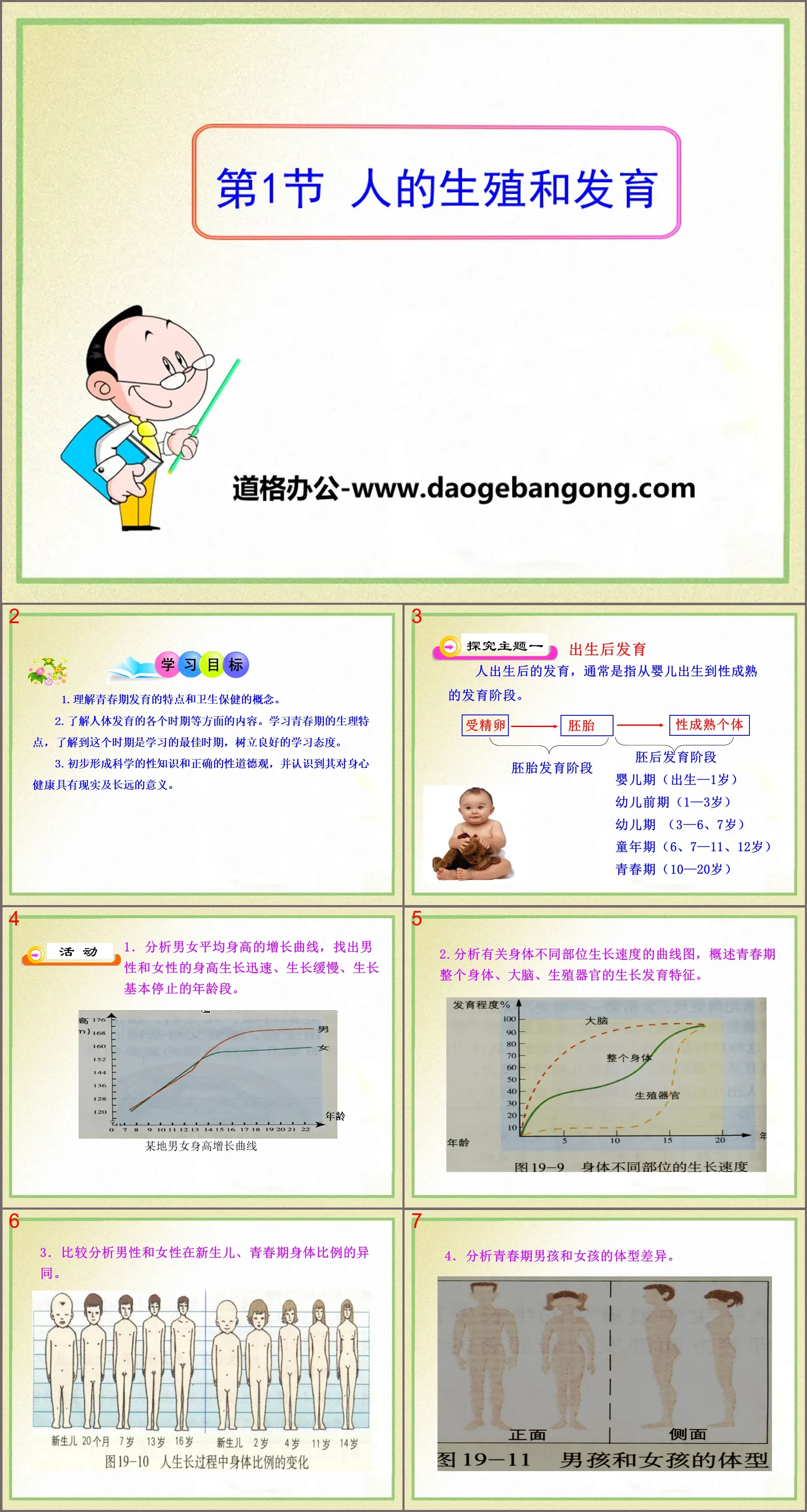 《人的生殖和发育》PPT课件