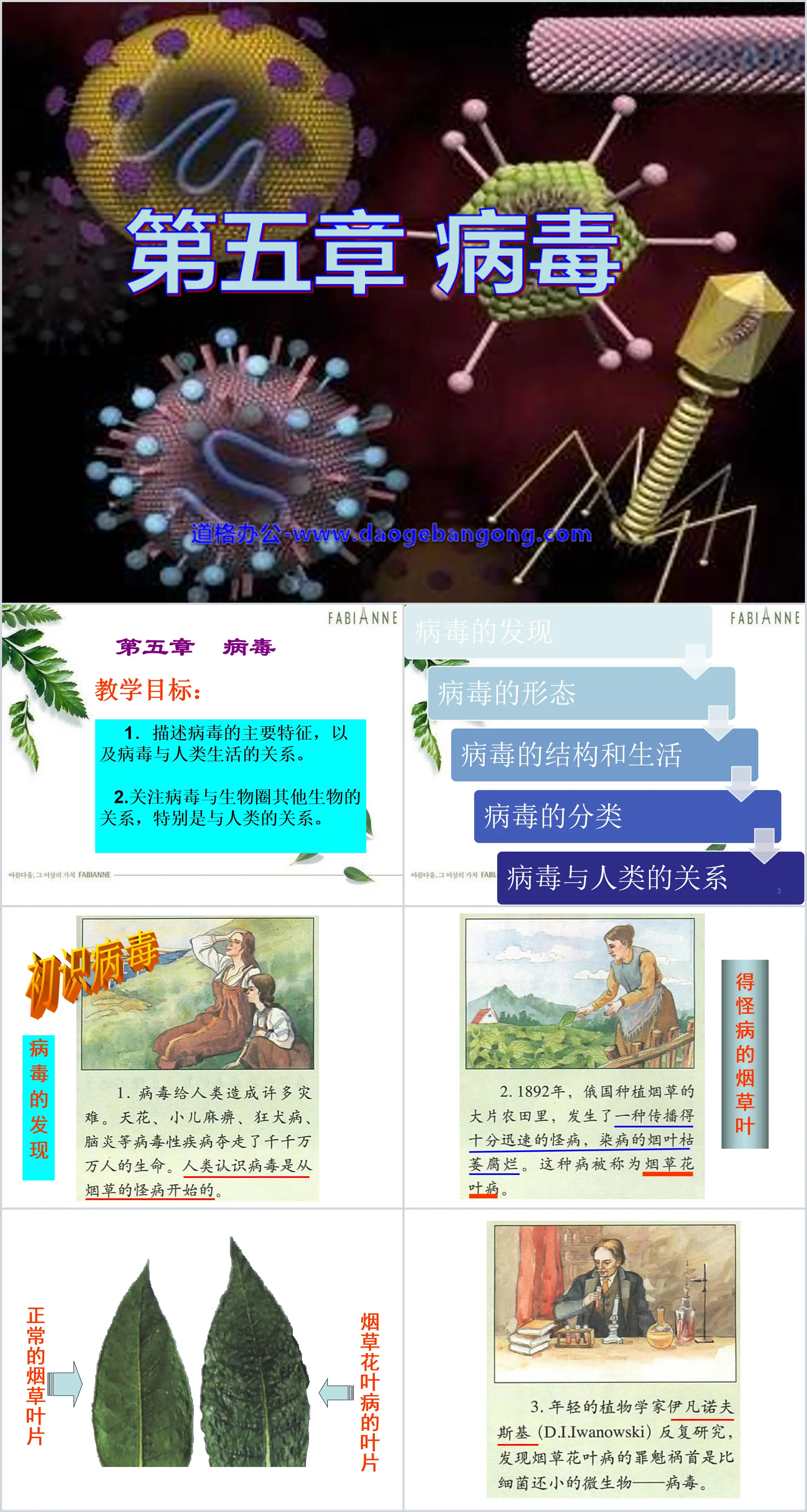 《病毒》PPT课件3
