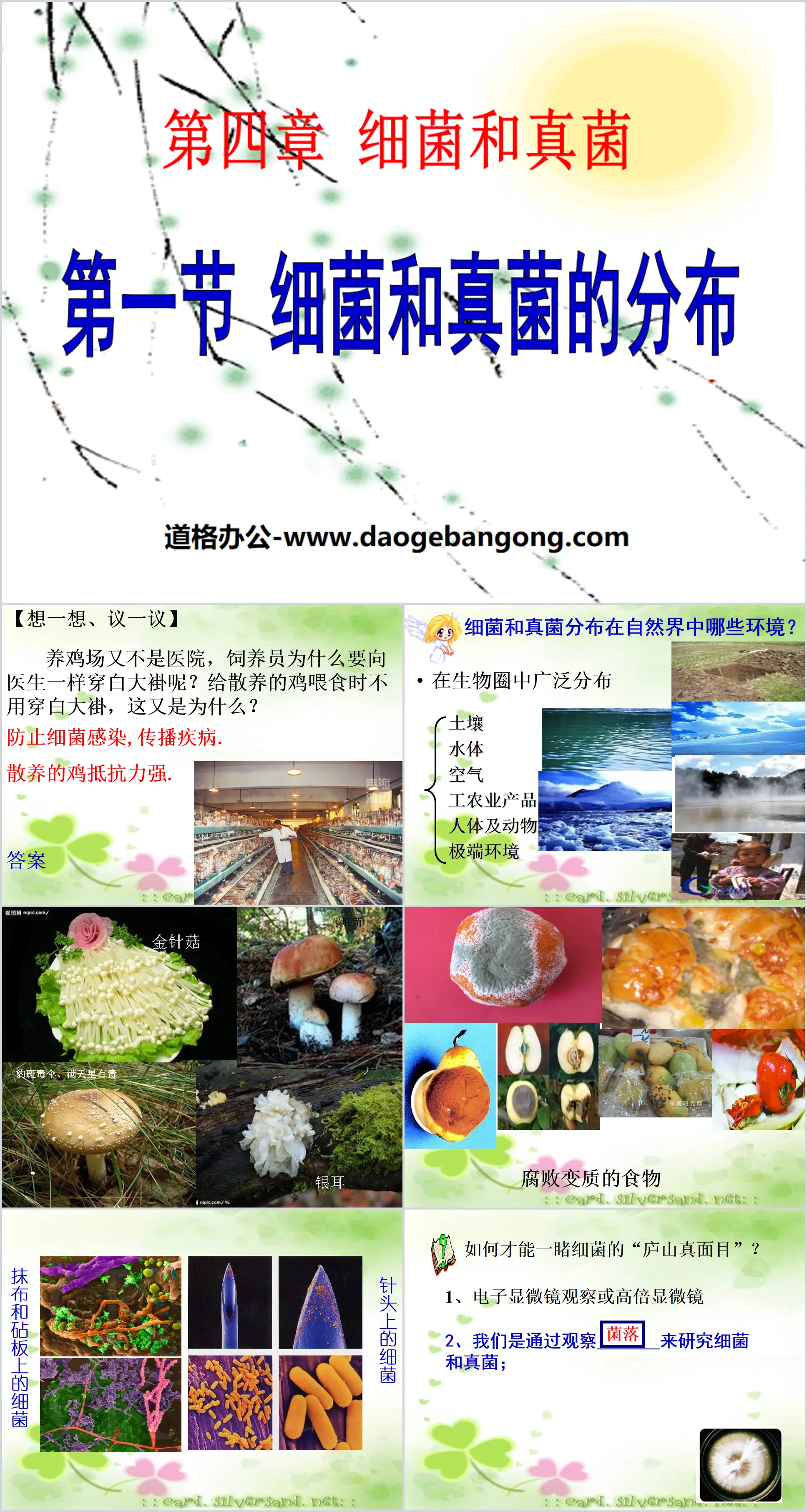 《细菌和真菌的分布》细菌和真菌PPT课件2
