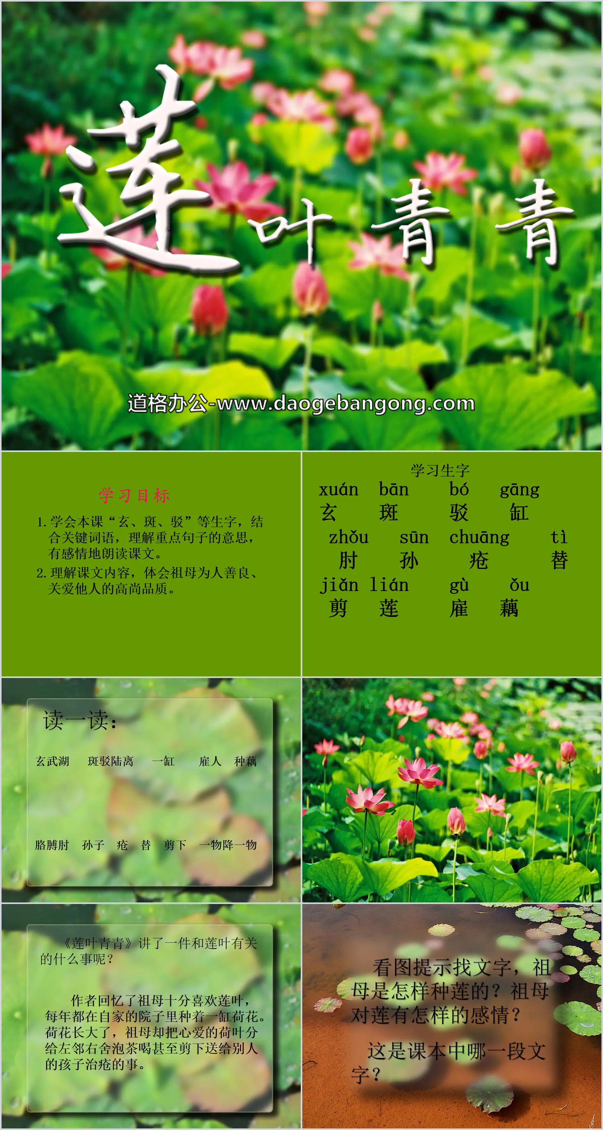 "Green Lotus Leaves" PPT courseware