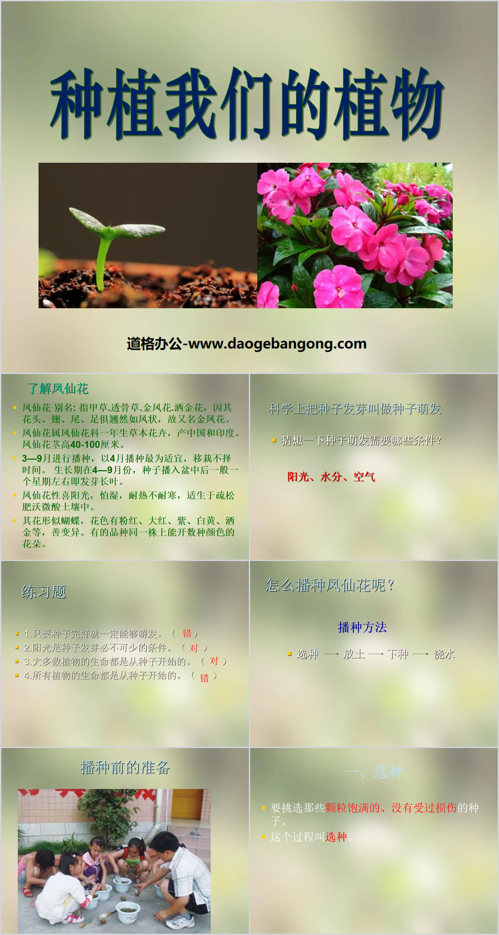 "Growing Our Plants" Plant Growth Changes PPT Courseware 3