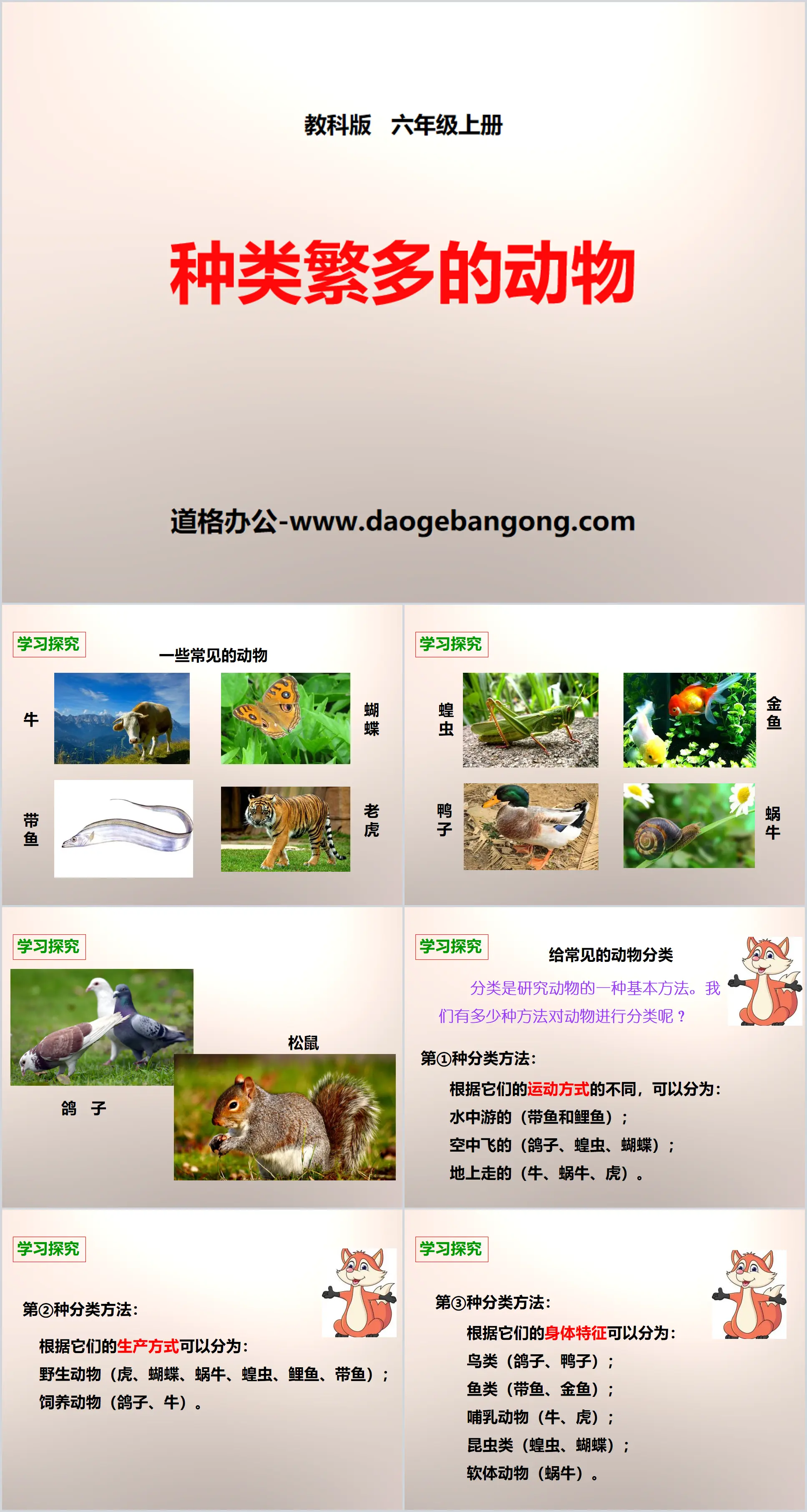 "Various Kinds of Animals" Biological Diversity PPT