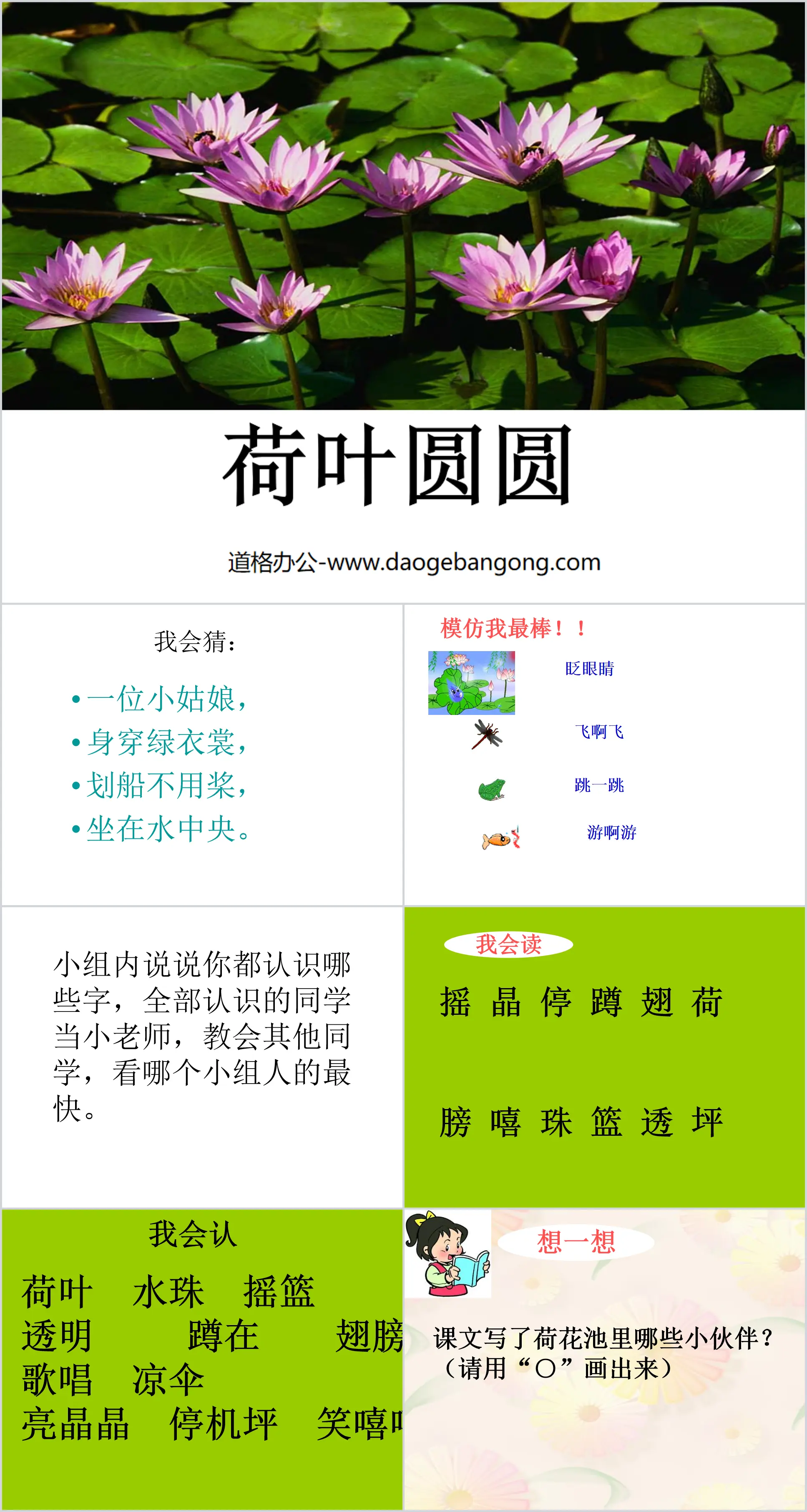 《荷叶圆圆》PPT课件3
