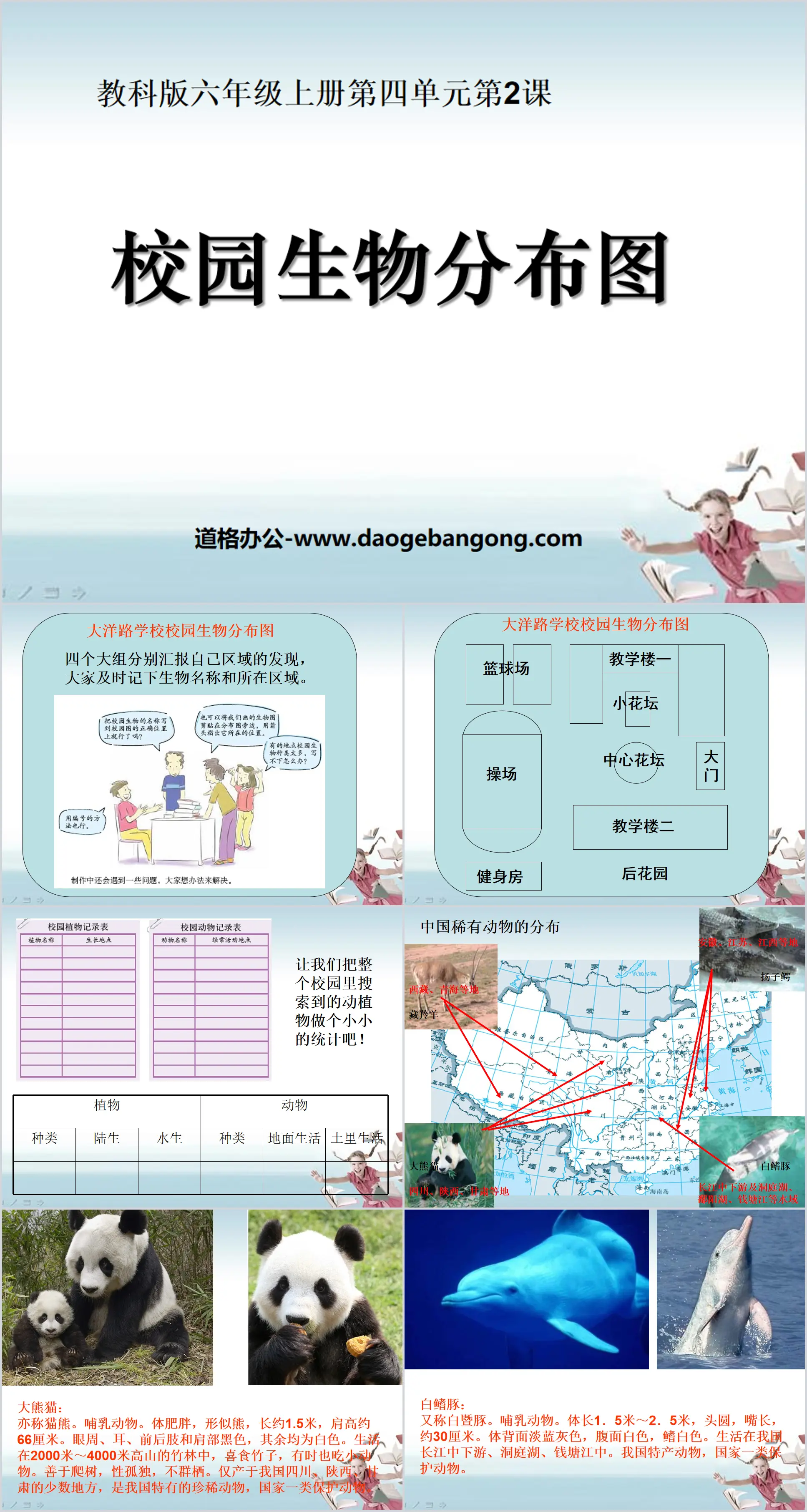 "Carte de répartition biologique du campus" Didacticiel PPT sur la diversité biologique 2