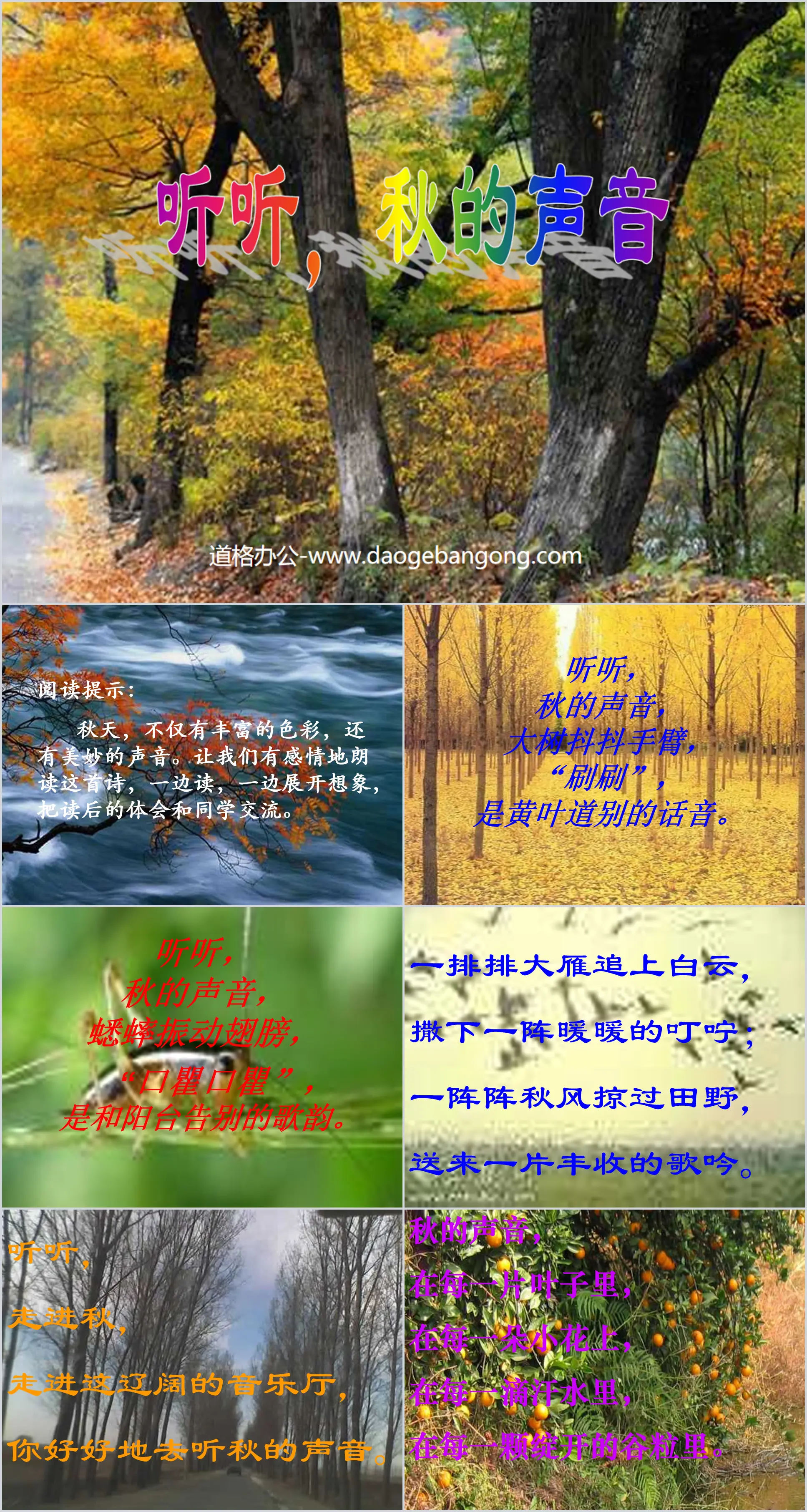 "Listen to the Voice of Autumn" PPT teaching courseware download