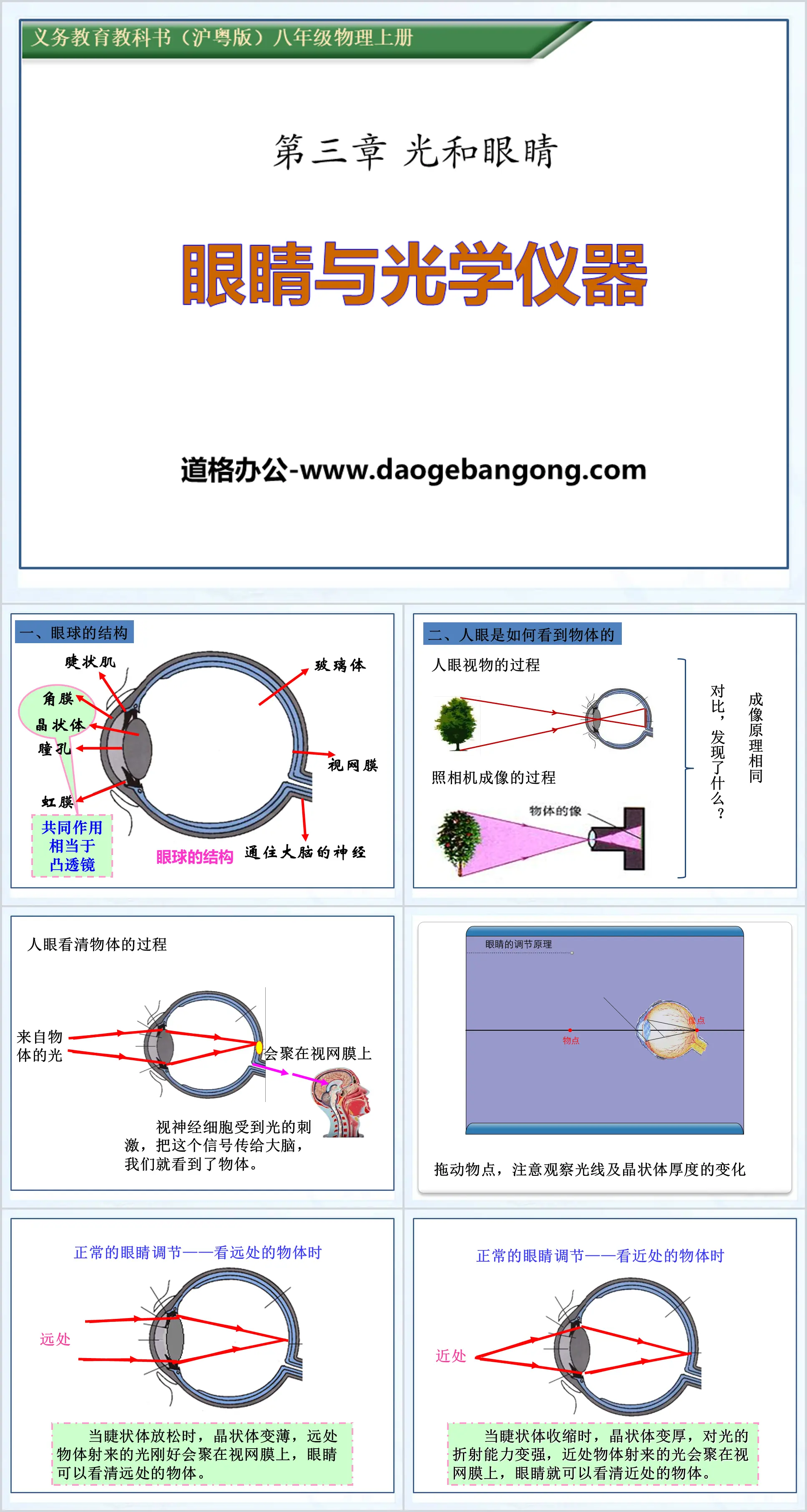 《眼睛與光學儀器》光與眼睛PPT課件3