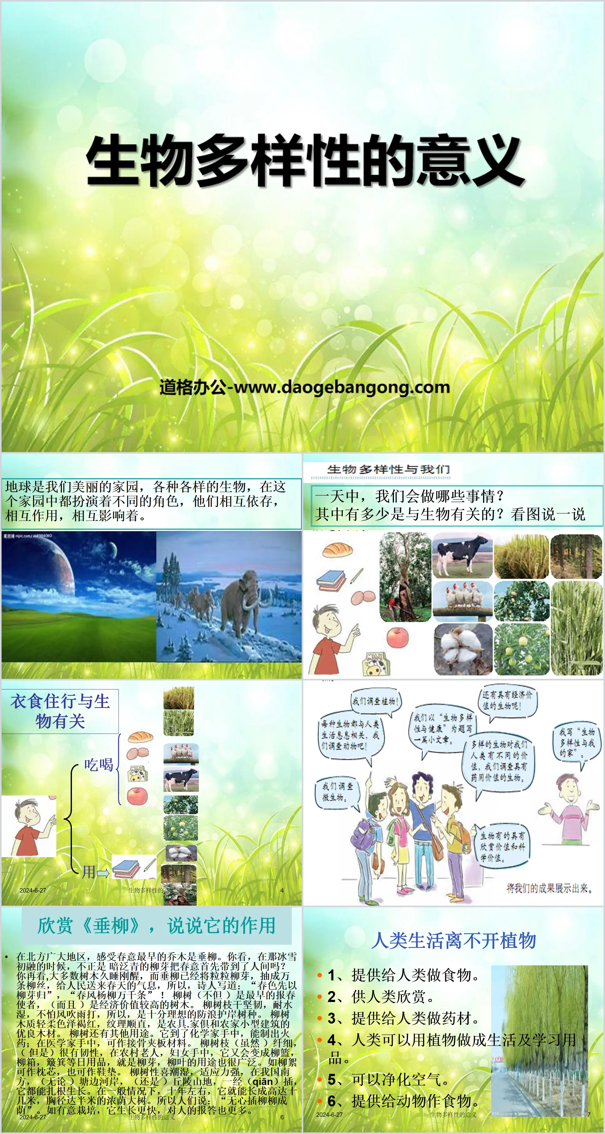 《生物多样性的意义》生物的多样性PPT课件2
