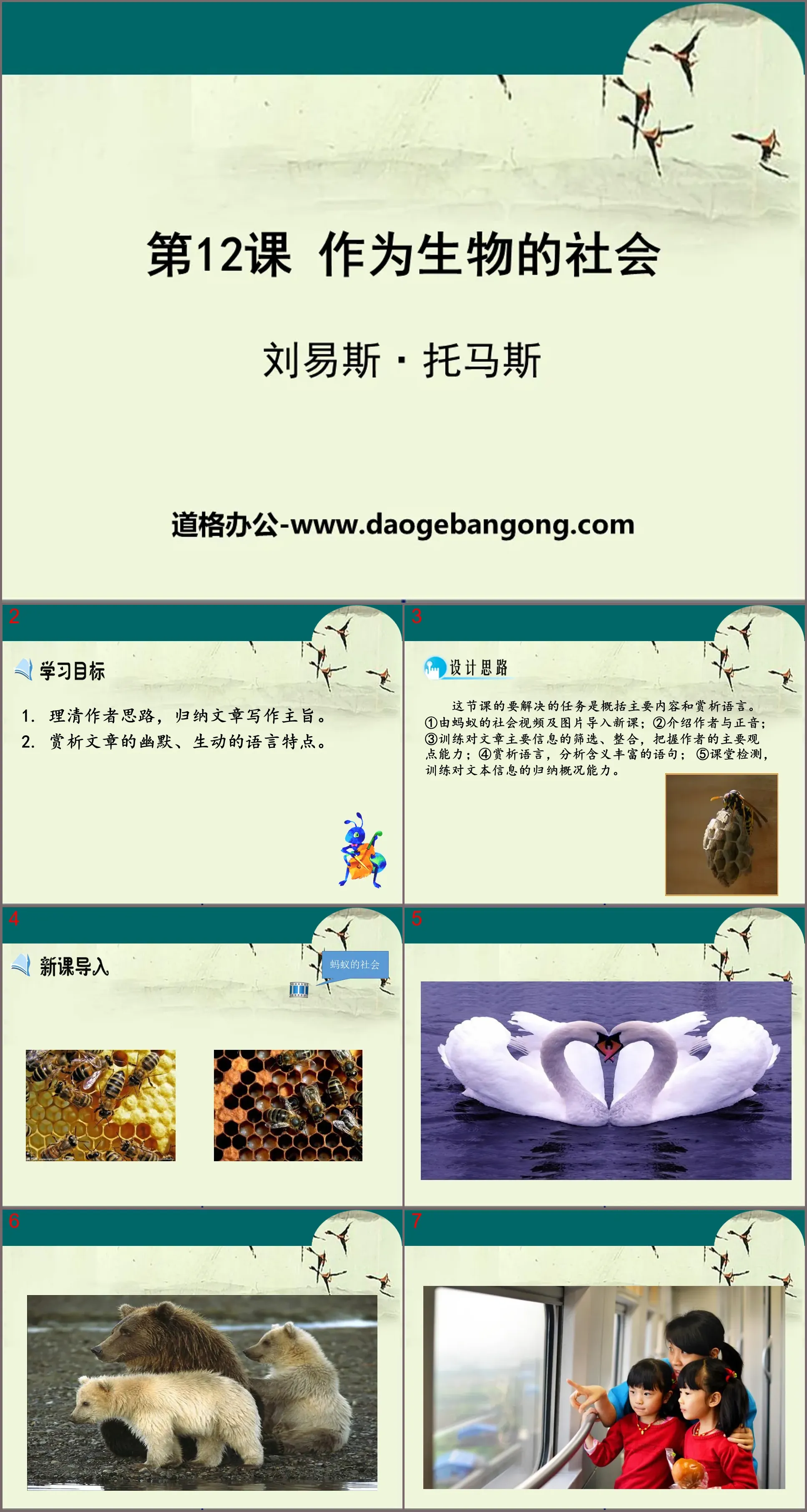 《作为生物的社会》PPT教学课件