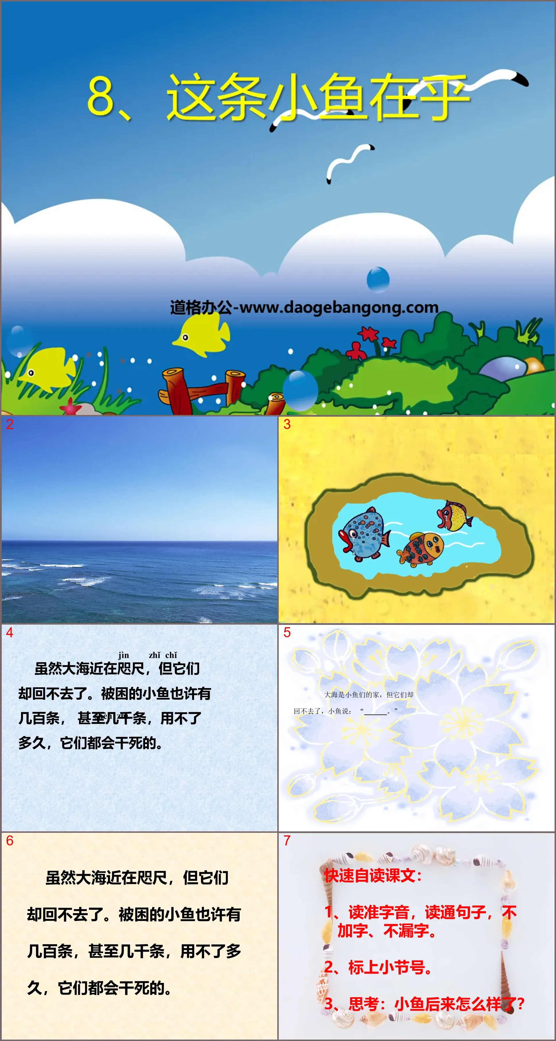 "This little fish cares" PPT courseware 4