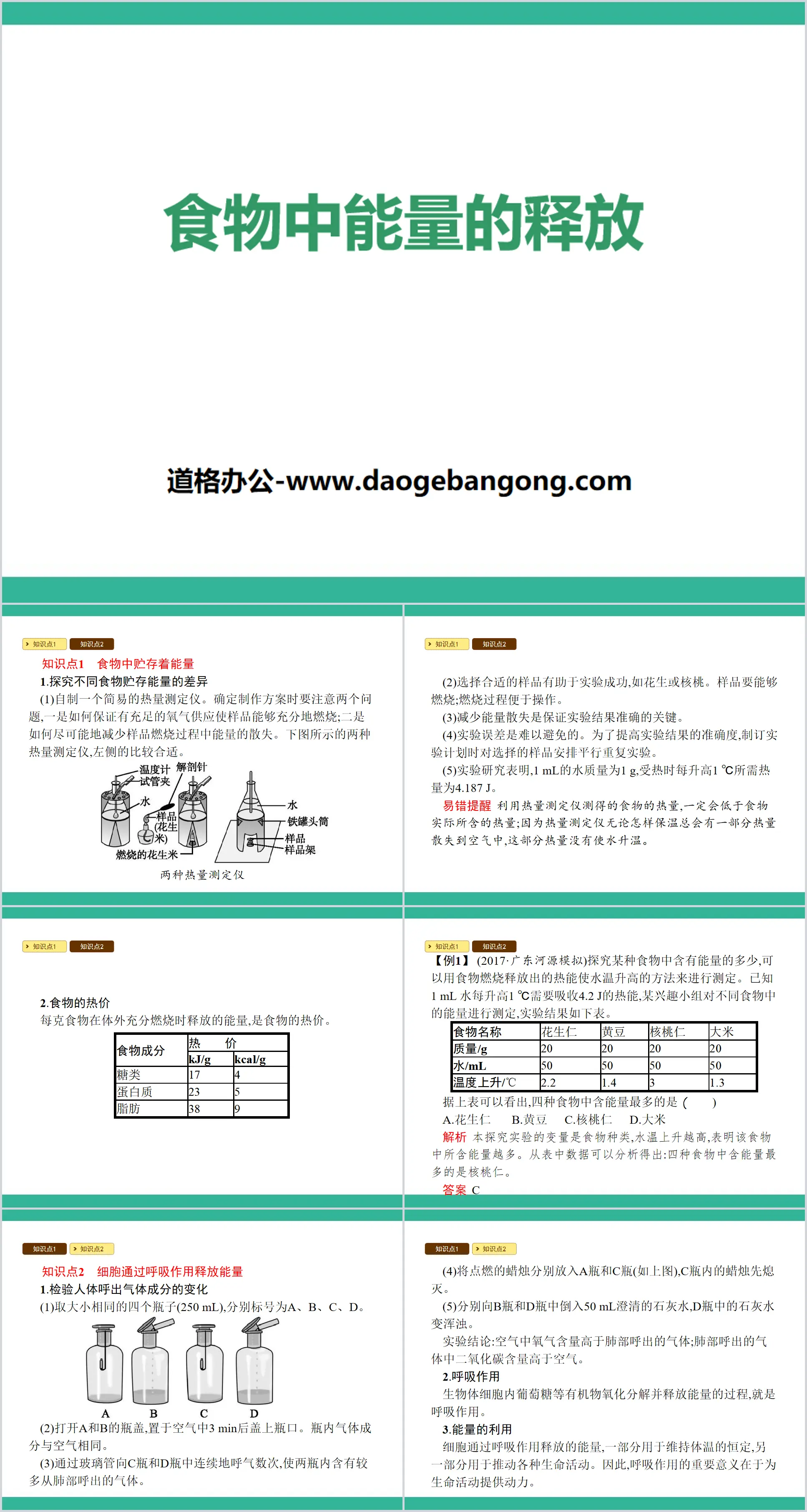 《食物中能量的釋放》PPT課程下載