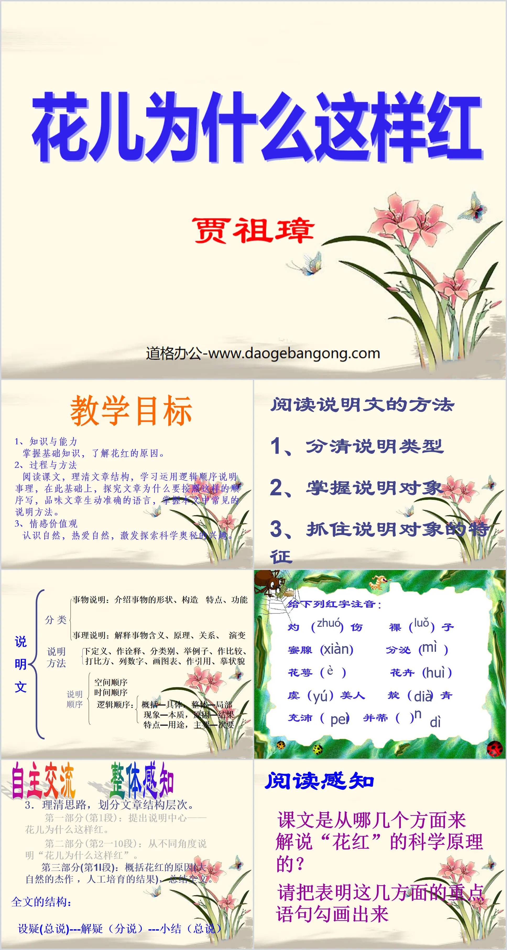 《花儿为什么这样红》PPT课件5
