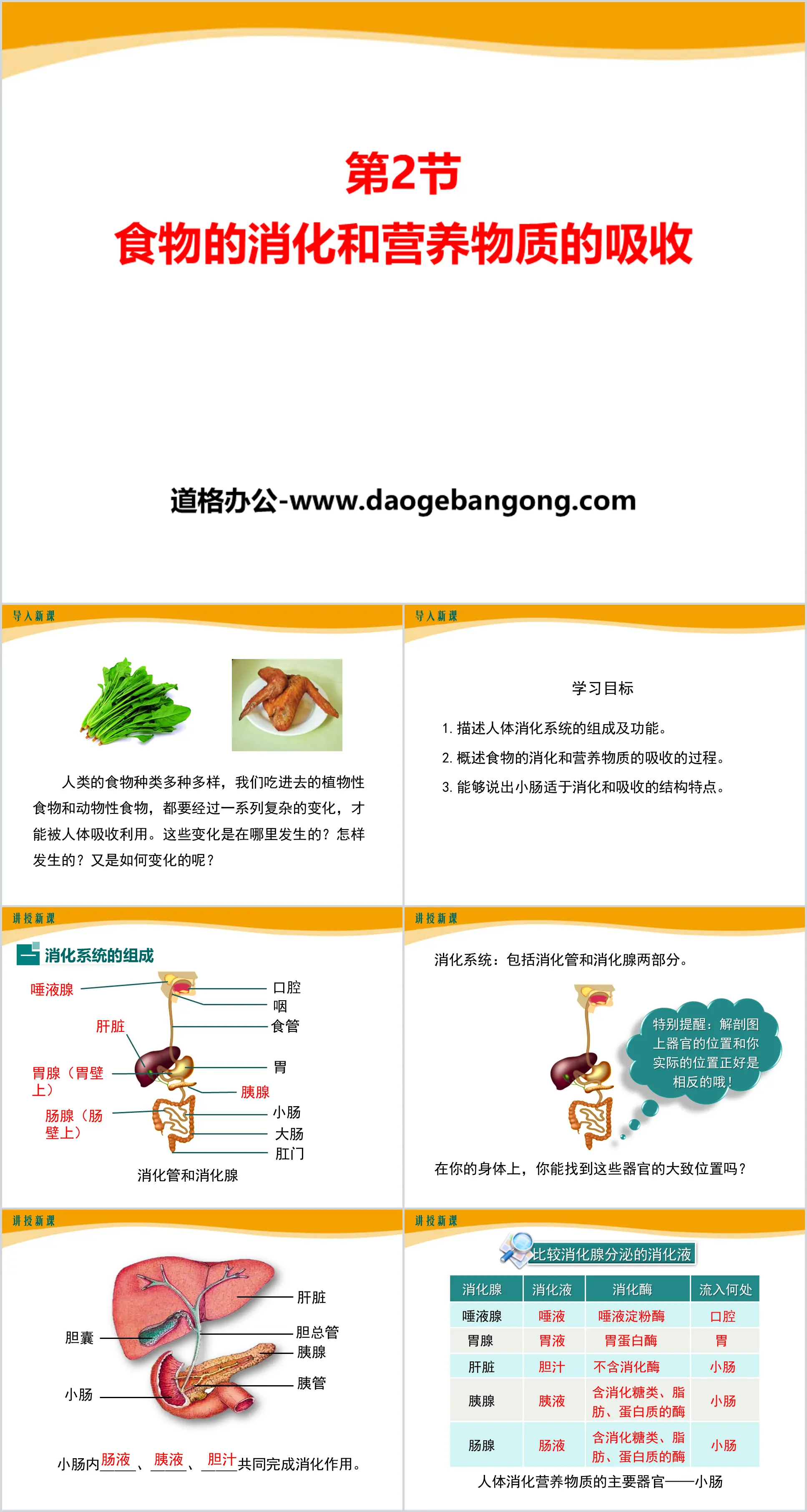 《食物的消化和營養物質的吸收》PPT下載